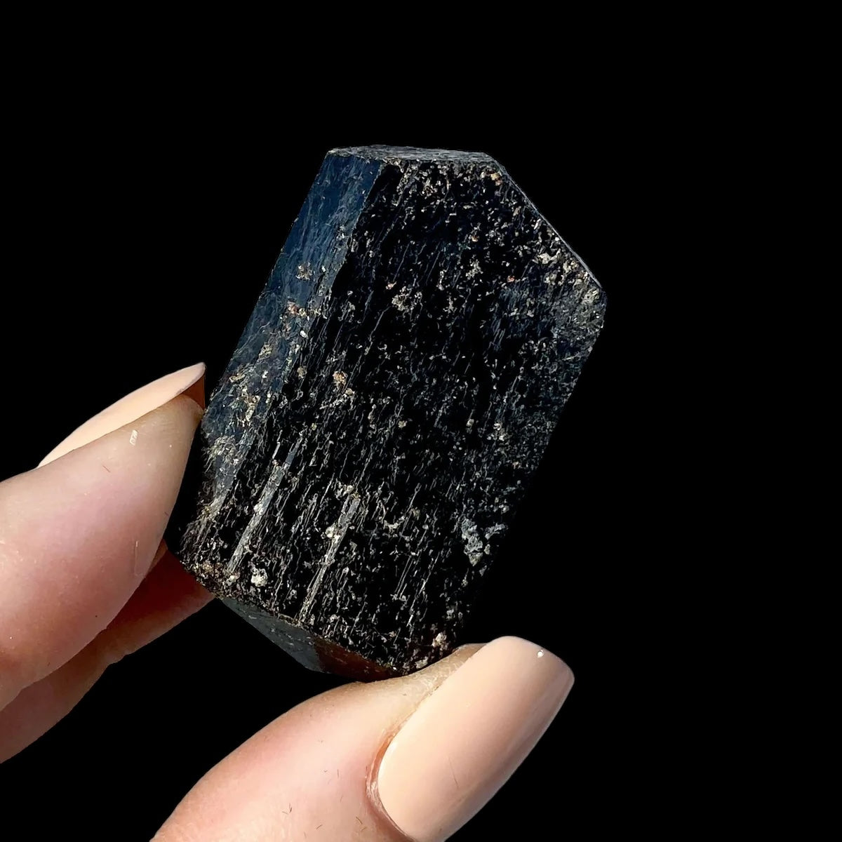 Terminated Black Tourmaline | Stock B - Mooncat Crystals