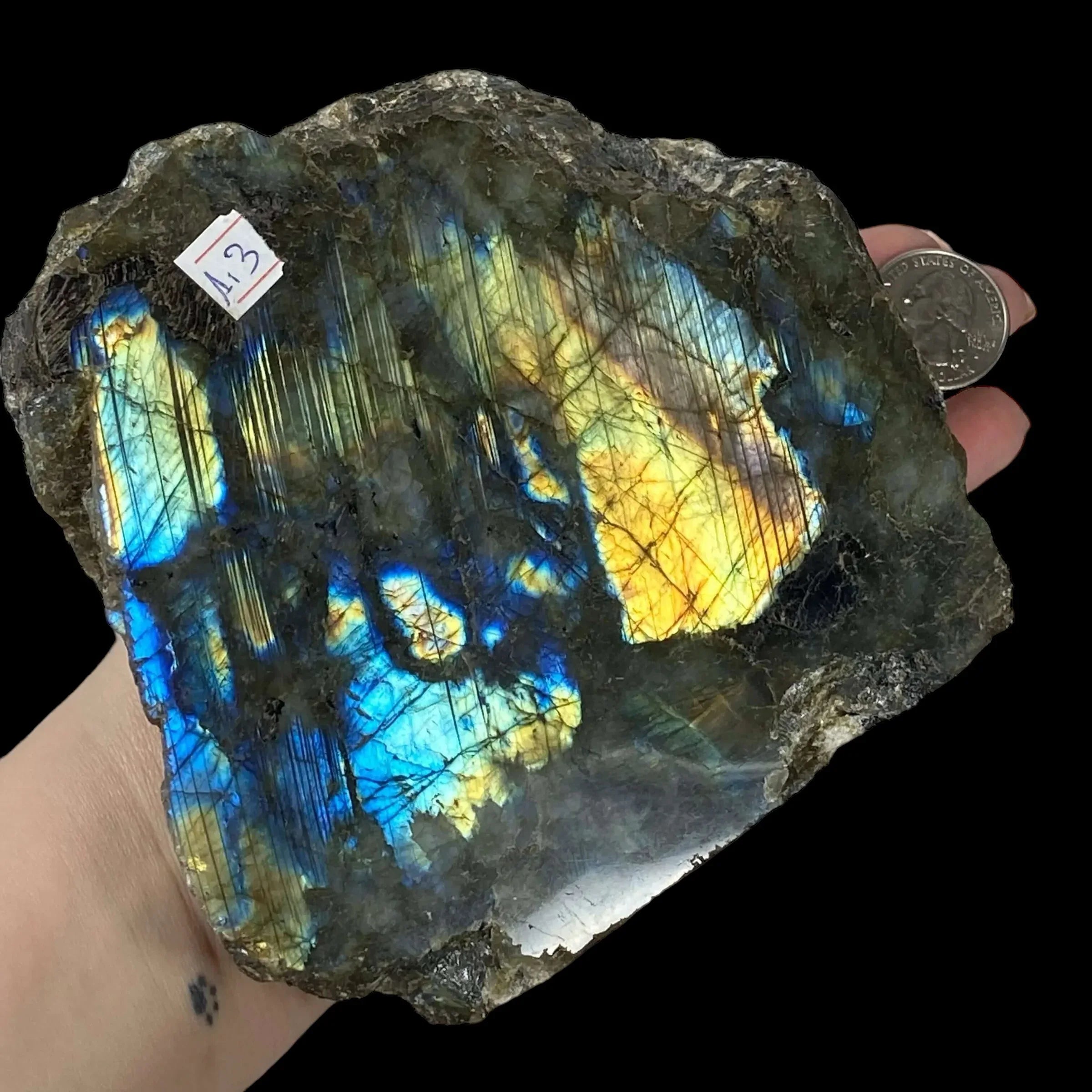 Self-Standing One-Side Polished Labradorite - Mooncat Crystals