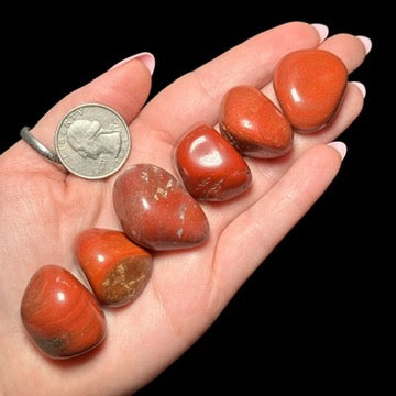 Tumbled Red Jasper | Medium - Set of 4 - Mooncat Crystals