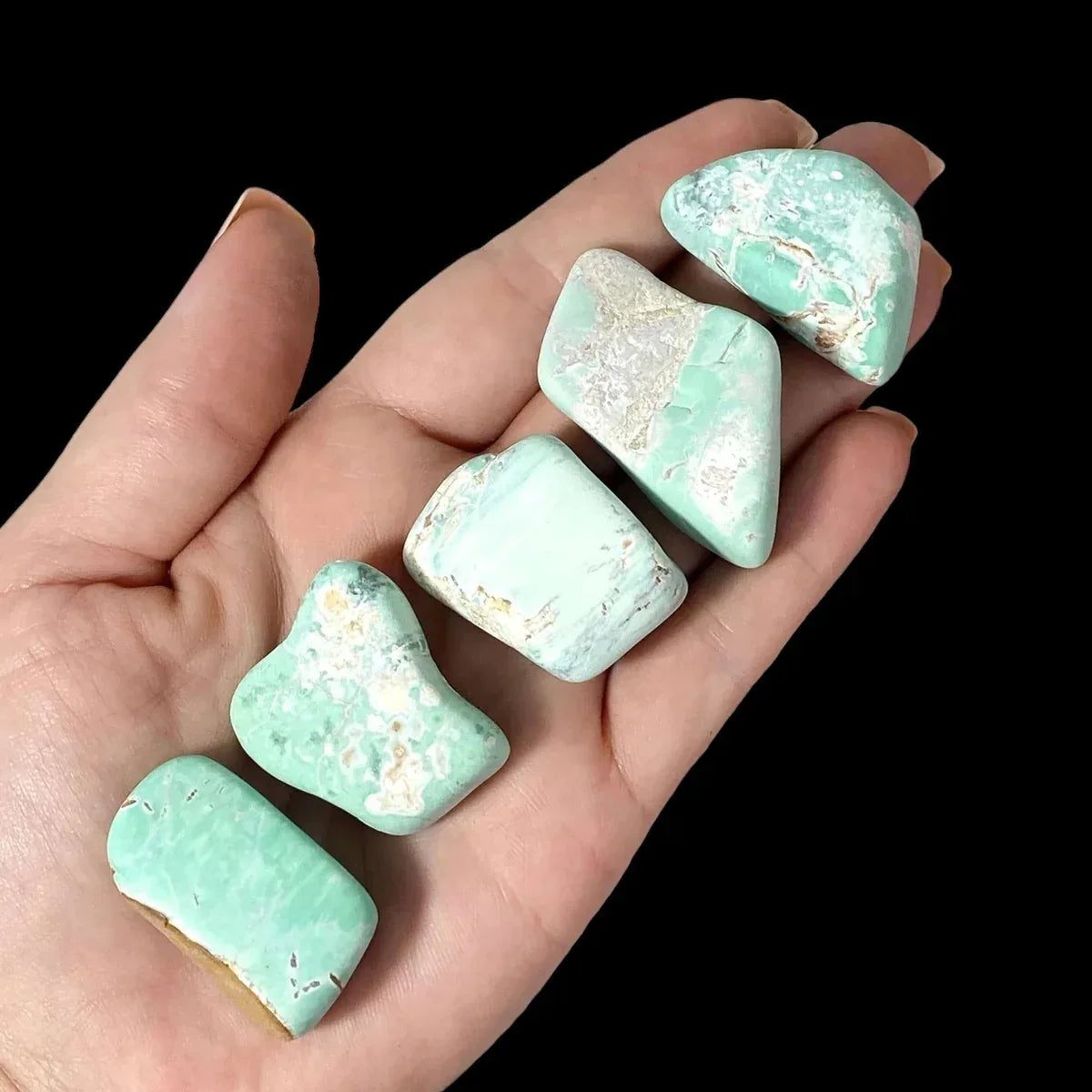 Variscite Tumbles | 1 Piece - Mooncat Crystals