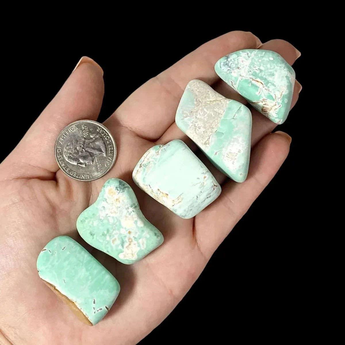 Variscite Tumbles | 1 Piece - Mooncat Crystals