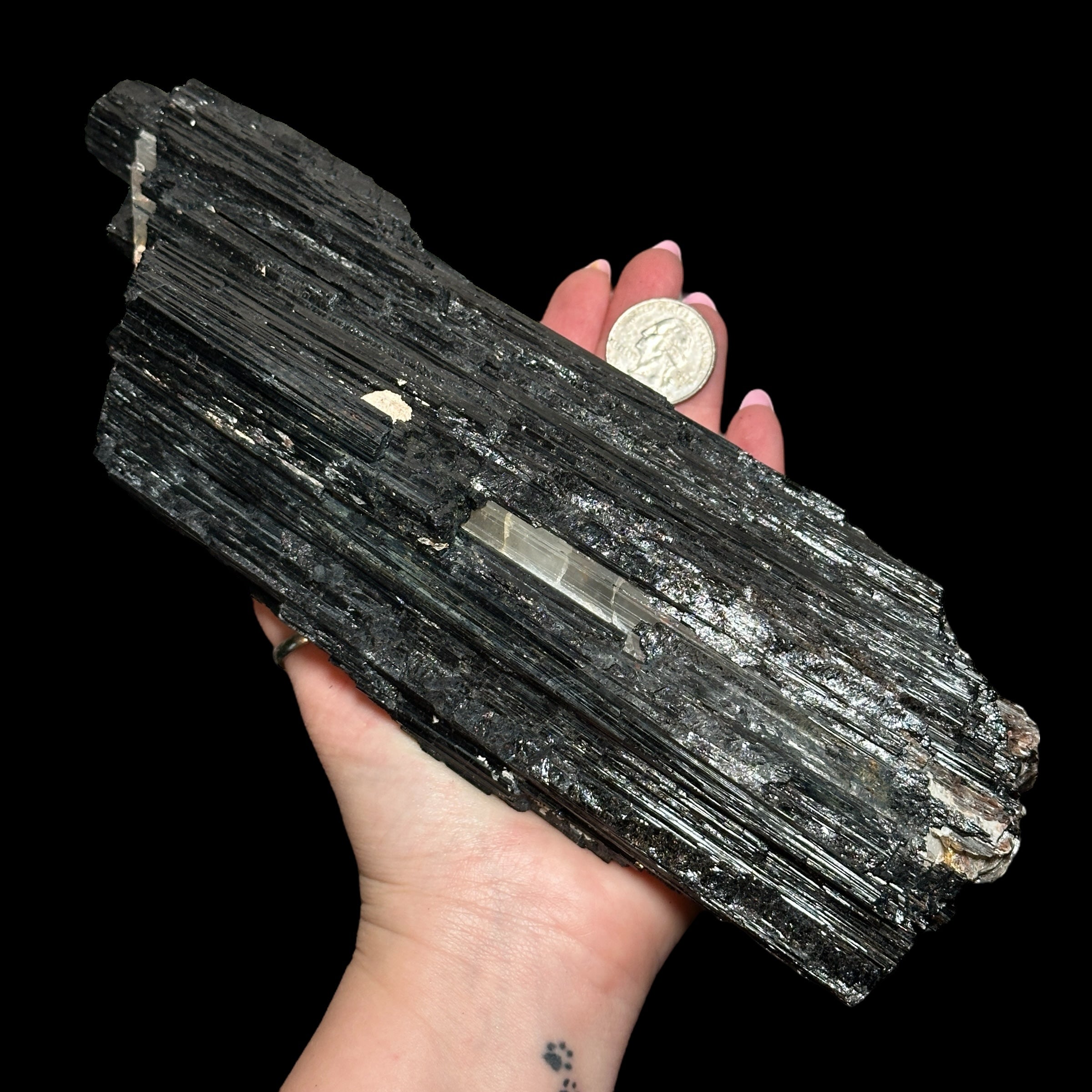XL Black Tourmaline with Quartz Vein & Mica - Mooncat Crystals