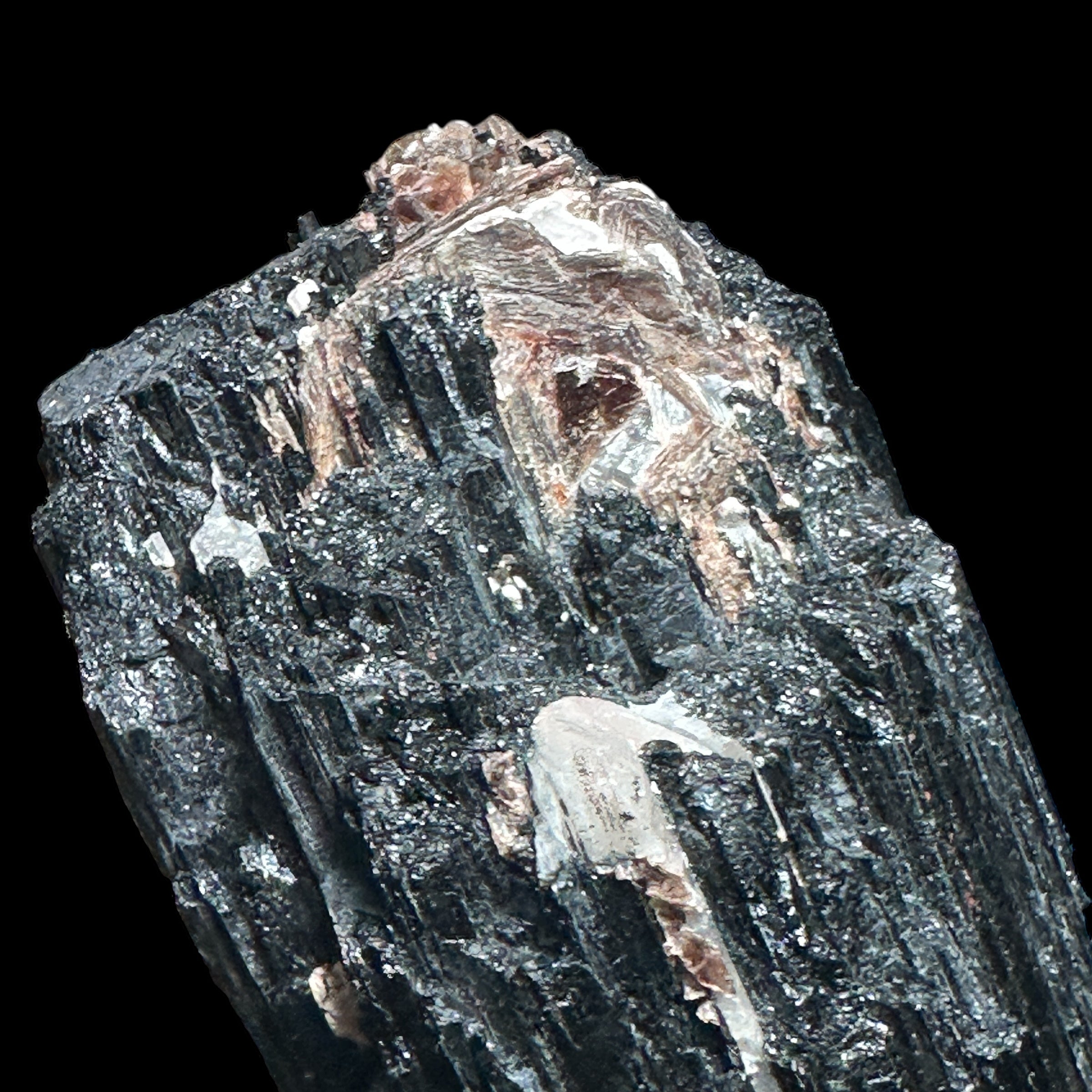 XL Black Tourmaline with Quartz Vein & Mica - Mooncat Crystals
