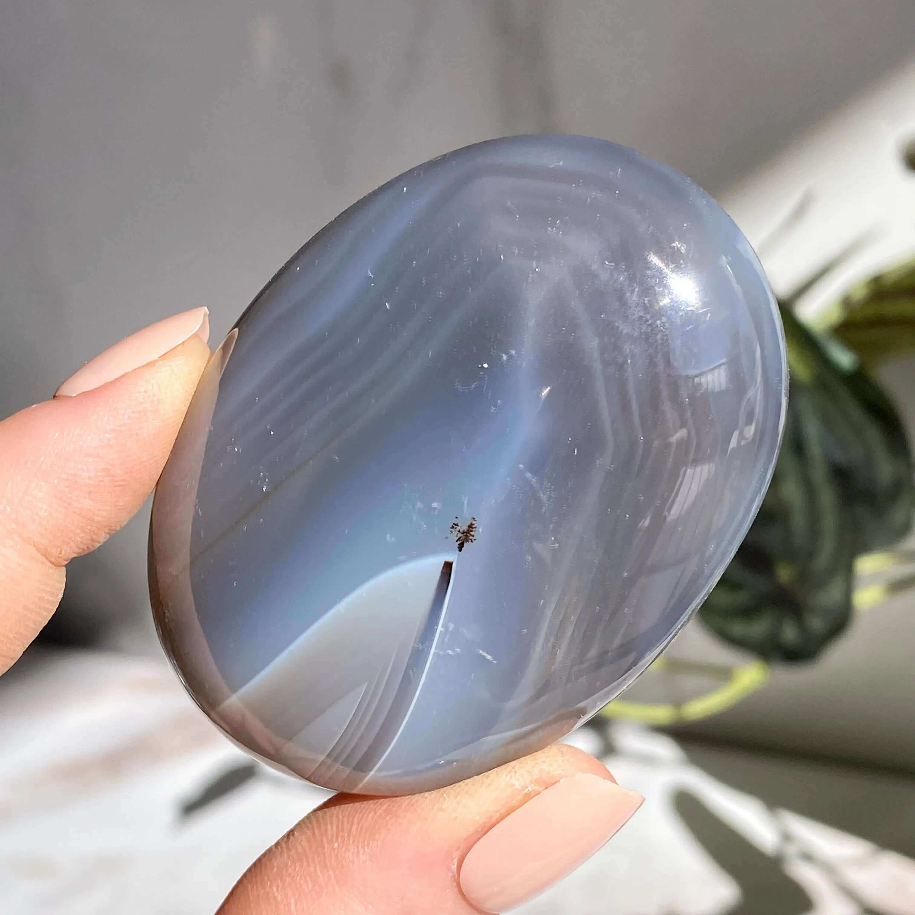 Agate Palm Stone | You Choose Mooncat Crystals