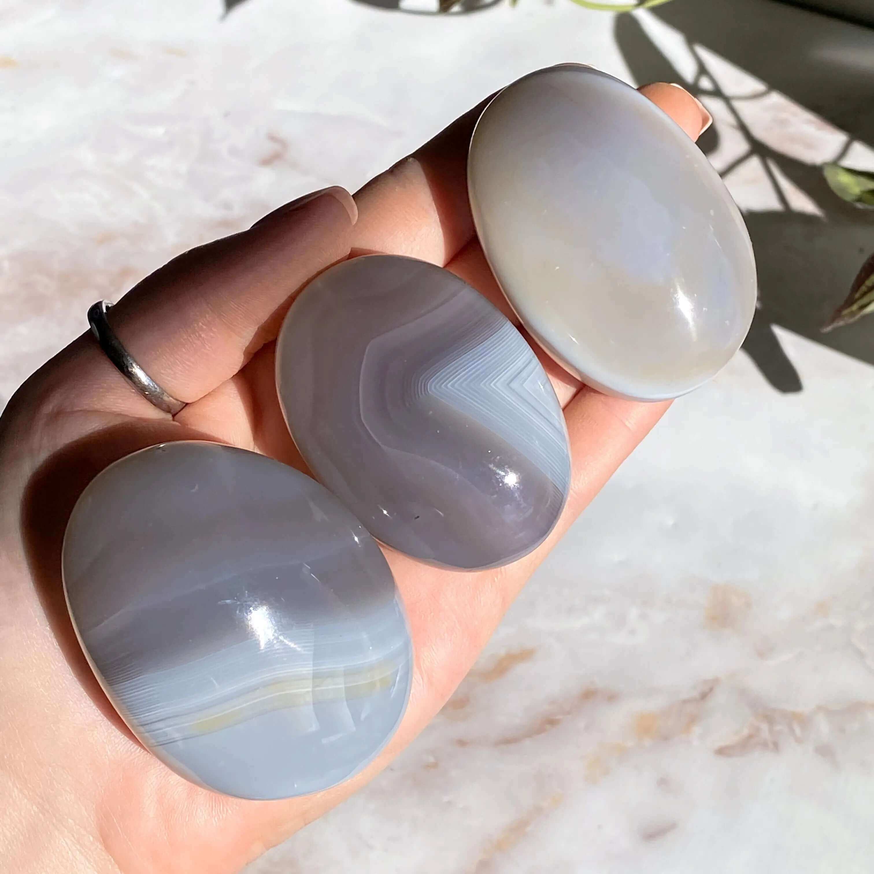 Agate Palm Stone | You Choose Mooncat Crystals
