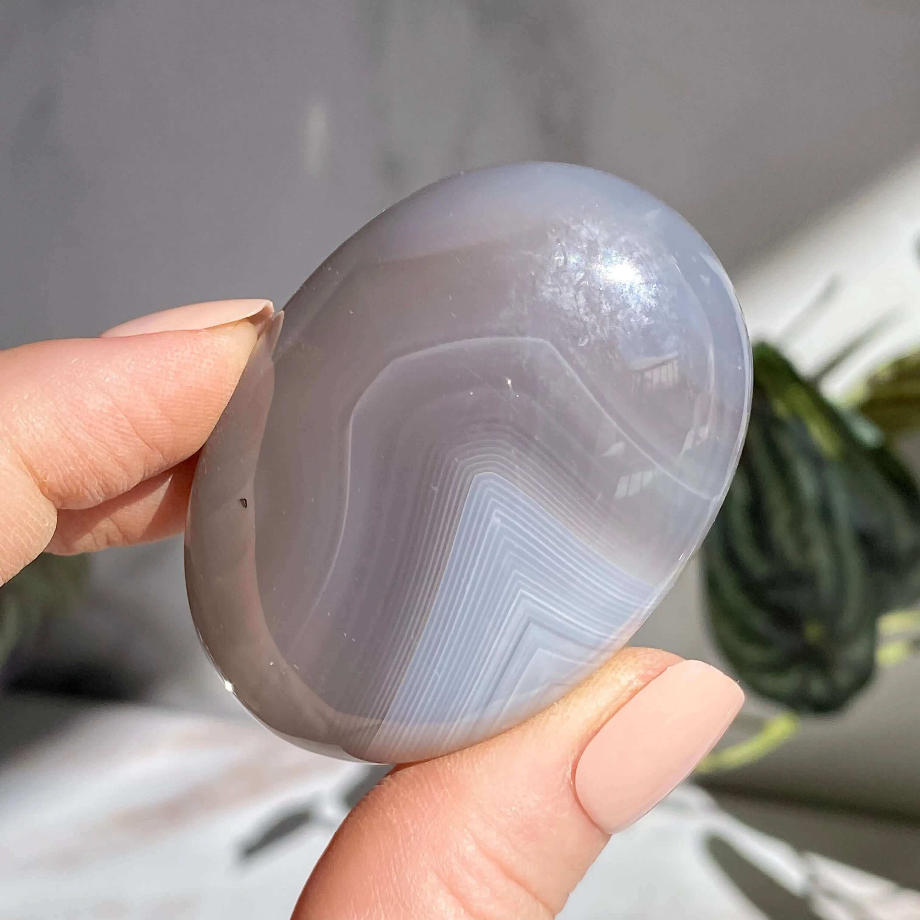 Agate Palm Stone | You Choose Mooncat Crystals