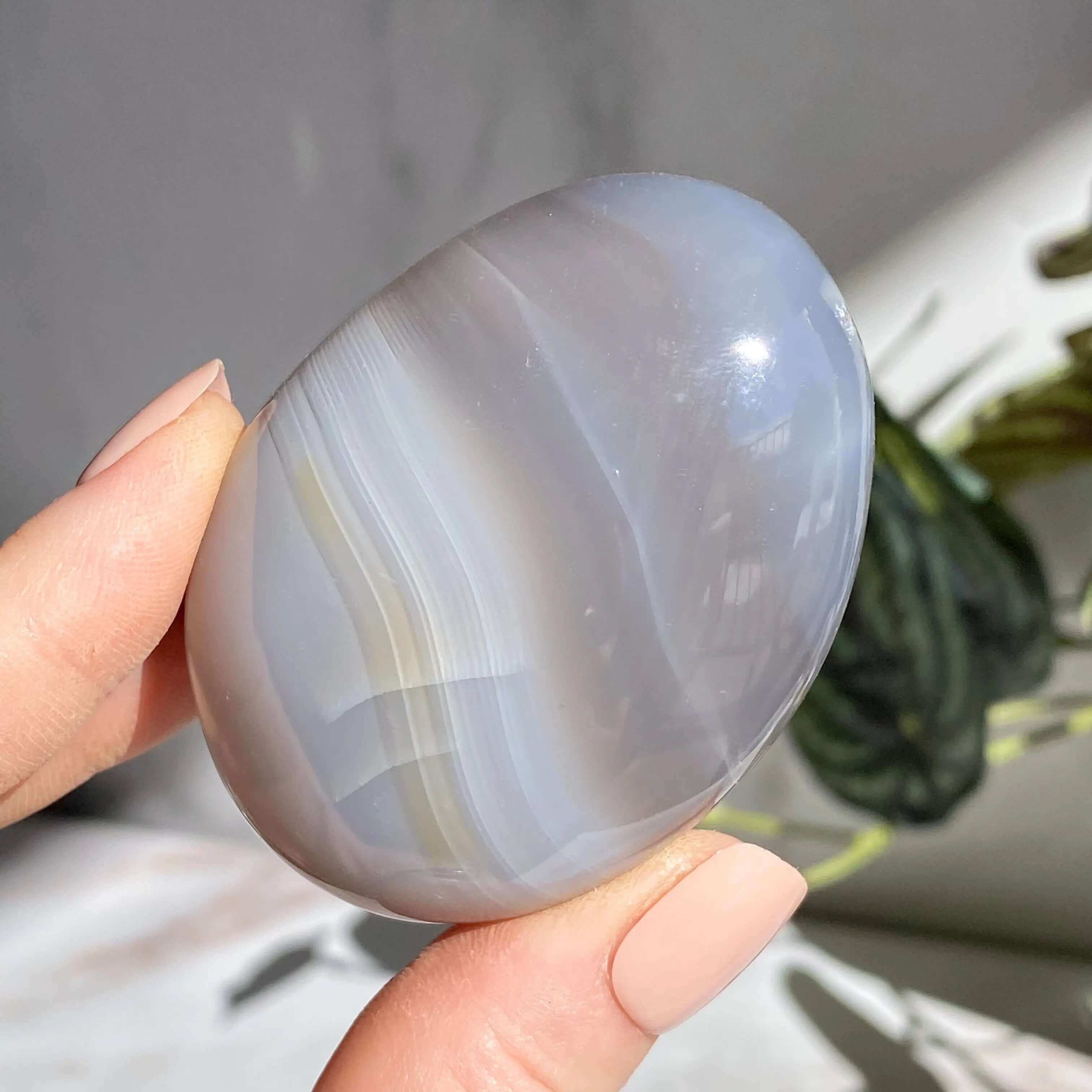Agate Palm Stone | You Choose Mooncat Crystals