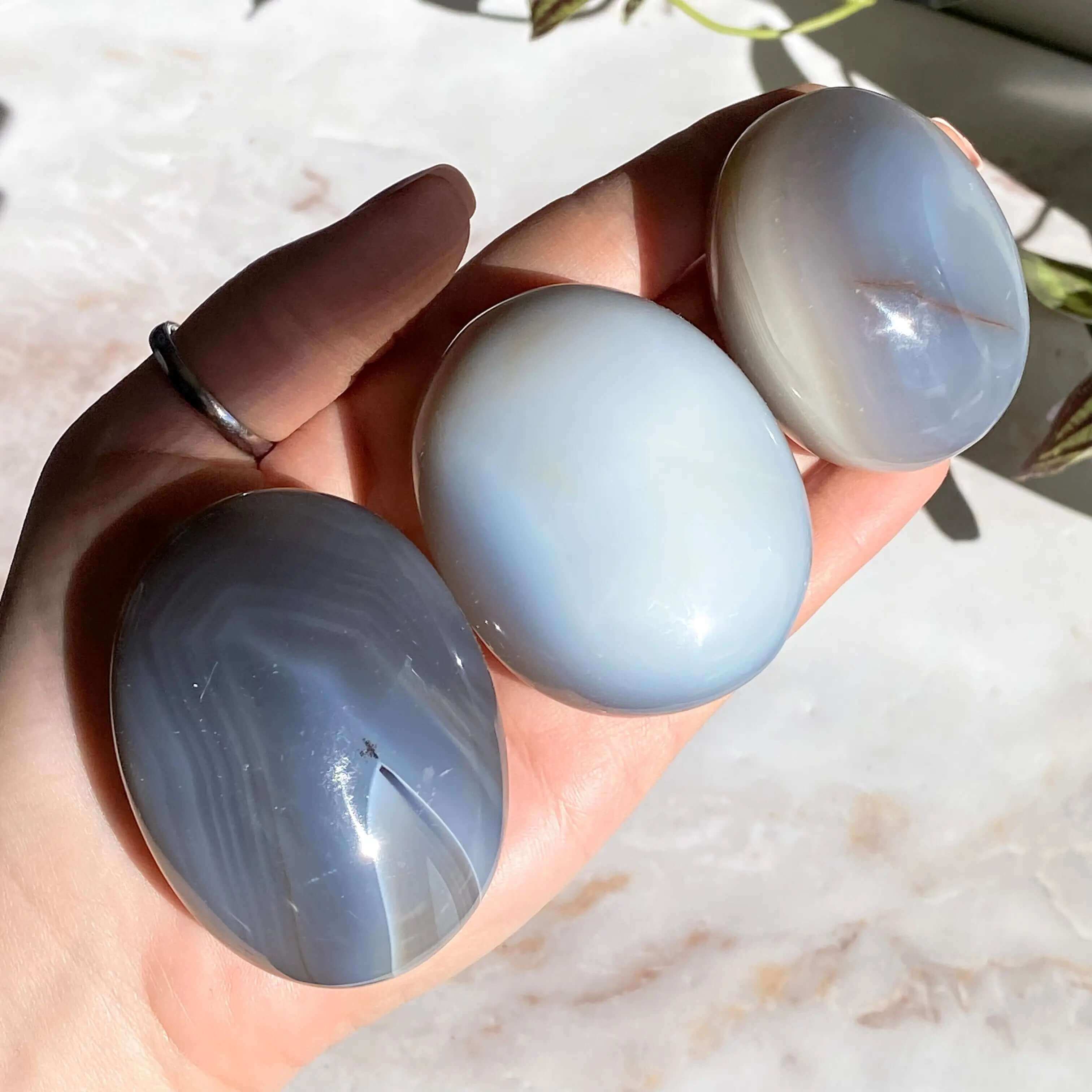 Agate Palm Stone | You Choose Mooncat Crystals
