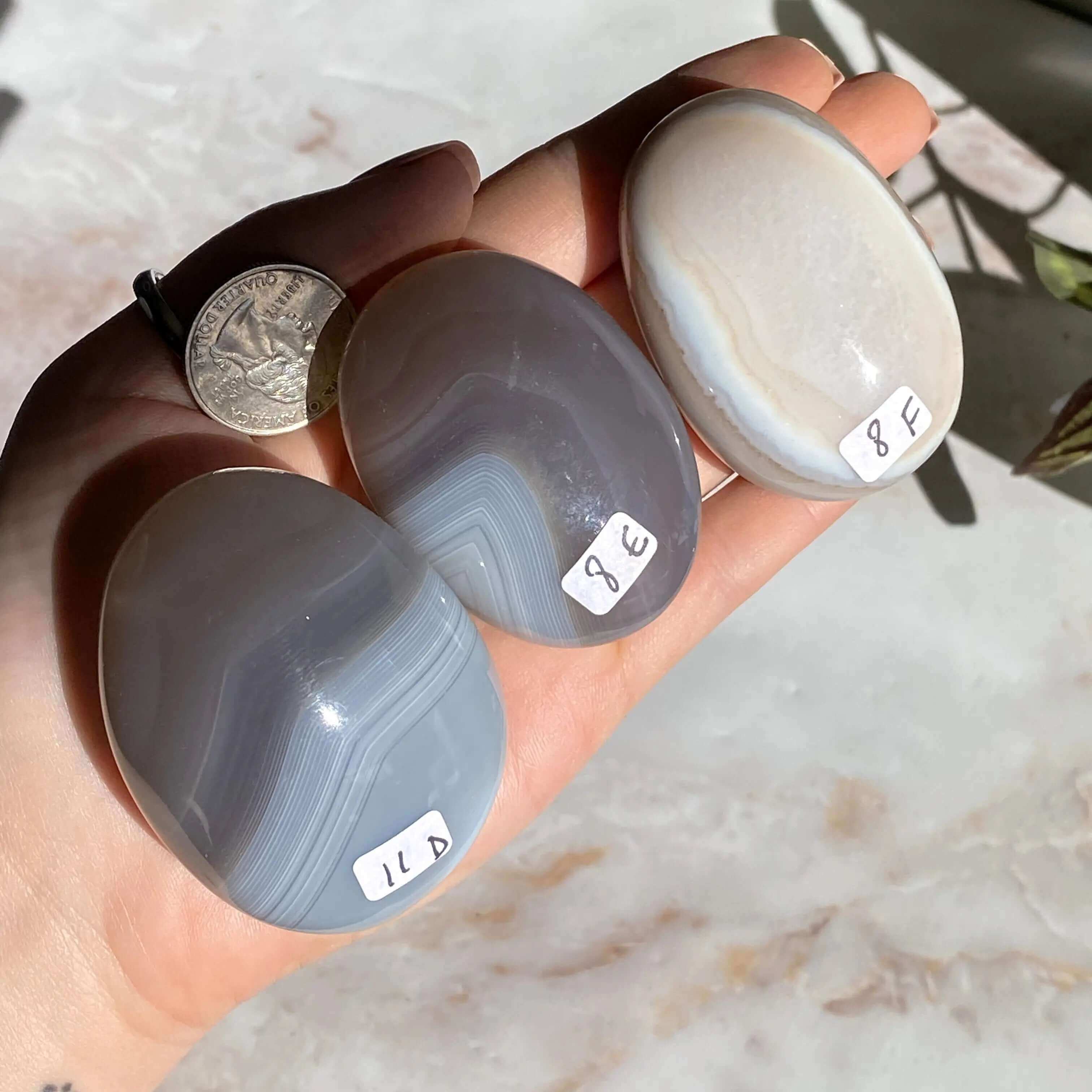 Agate Palm Stone | You Choose Mooncat Crystals