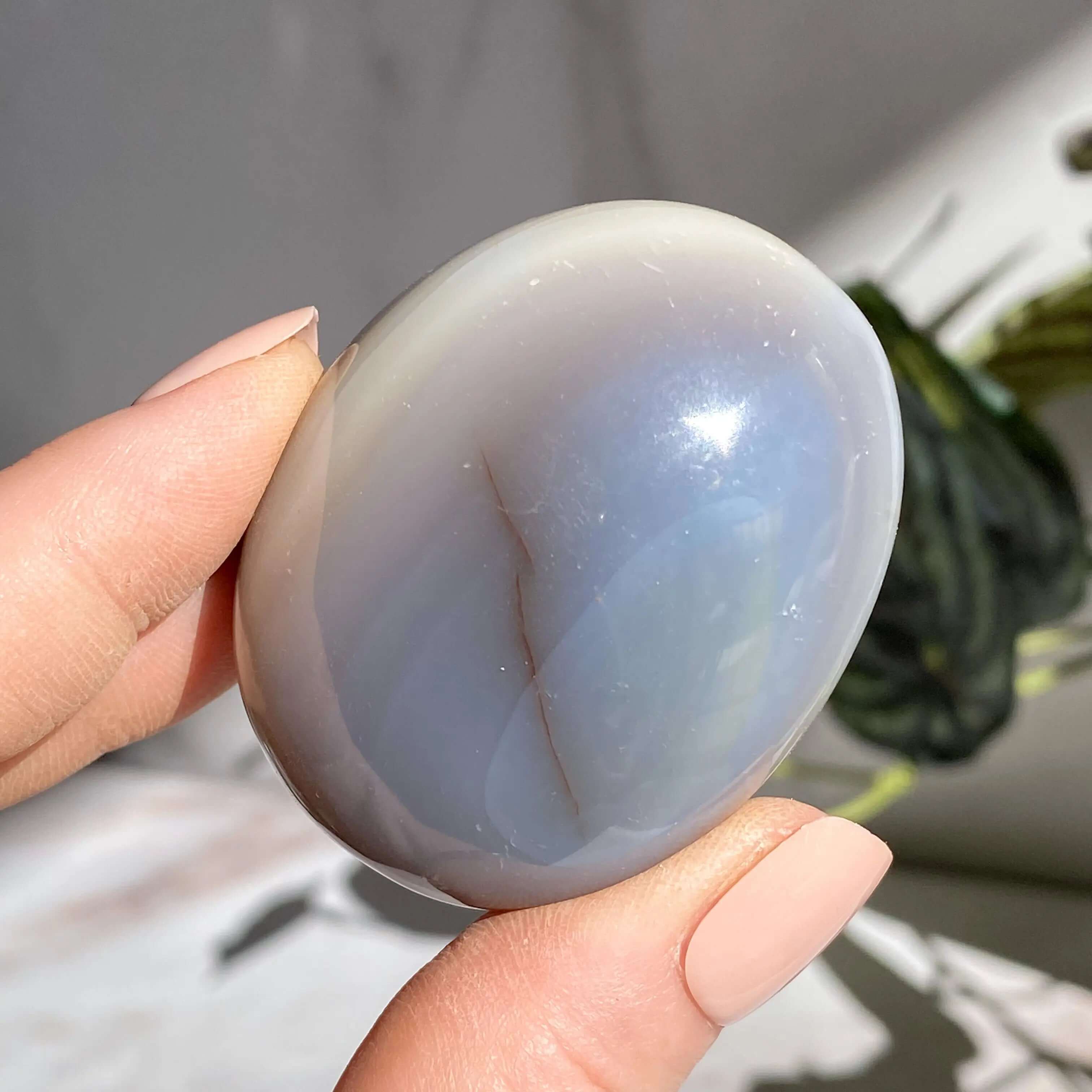 Agate Palm Stone | You Choose Mooncat Crystals