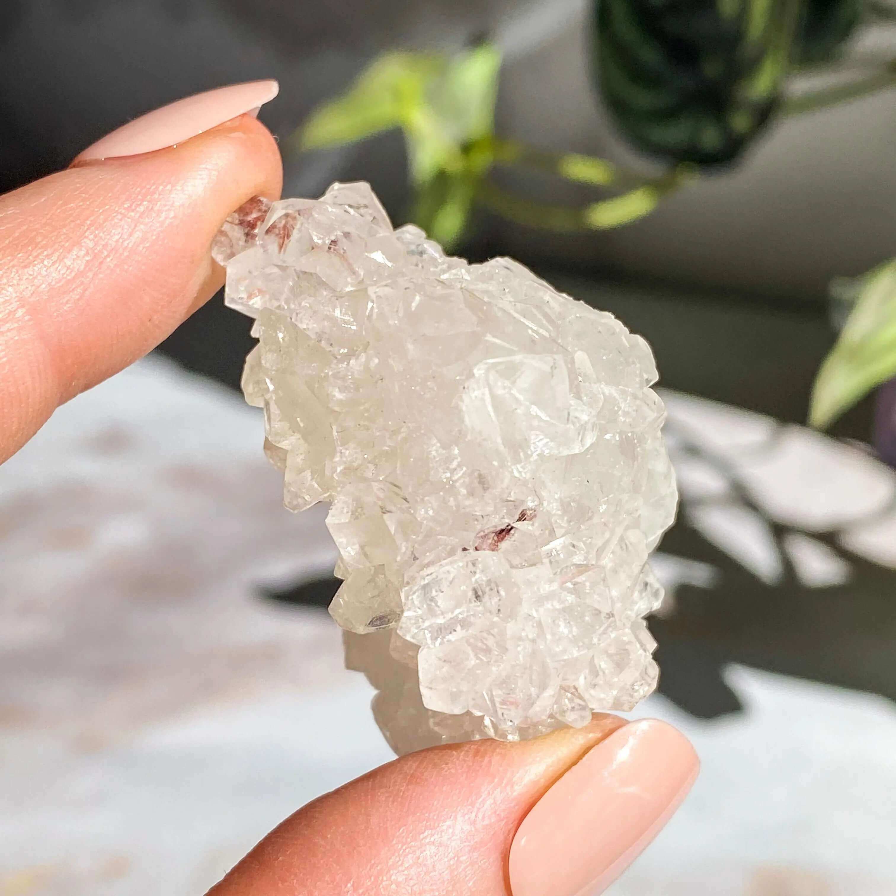 Apophyllite | Stock C Mooncat Crystals