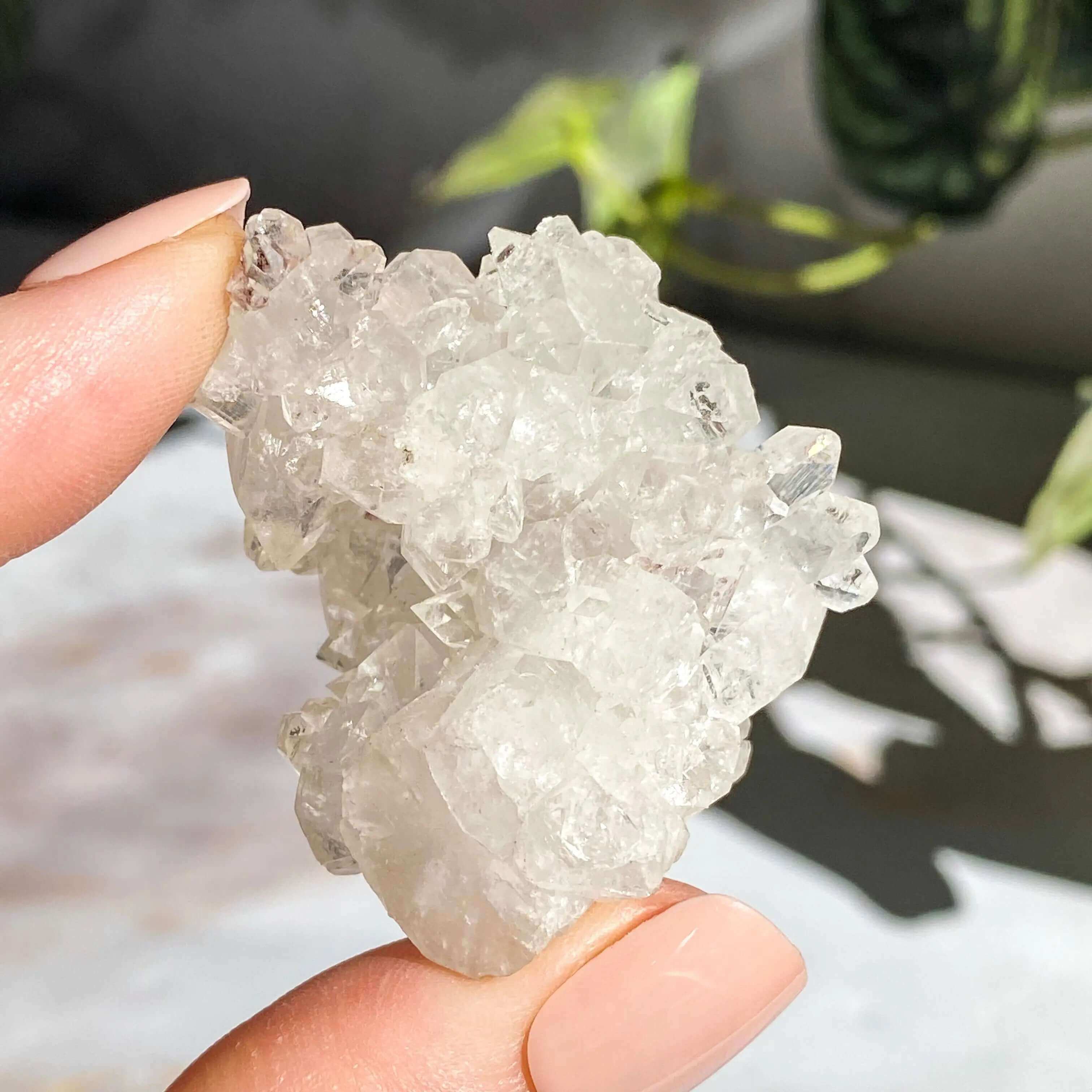 Apophyllite | Stock C Mooncat Crystals