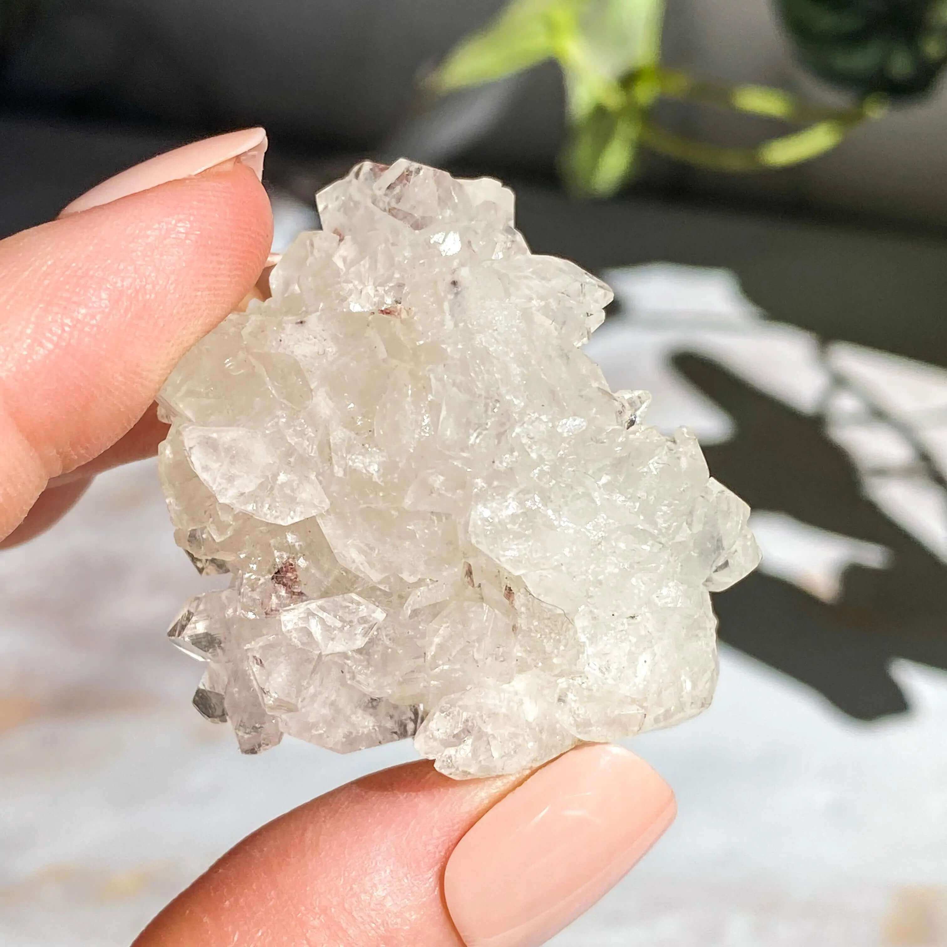 Apophyllite | Stock C Mooncat Crystals