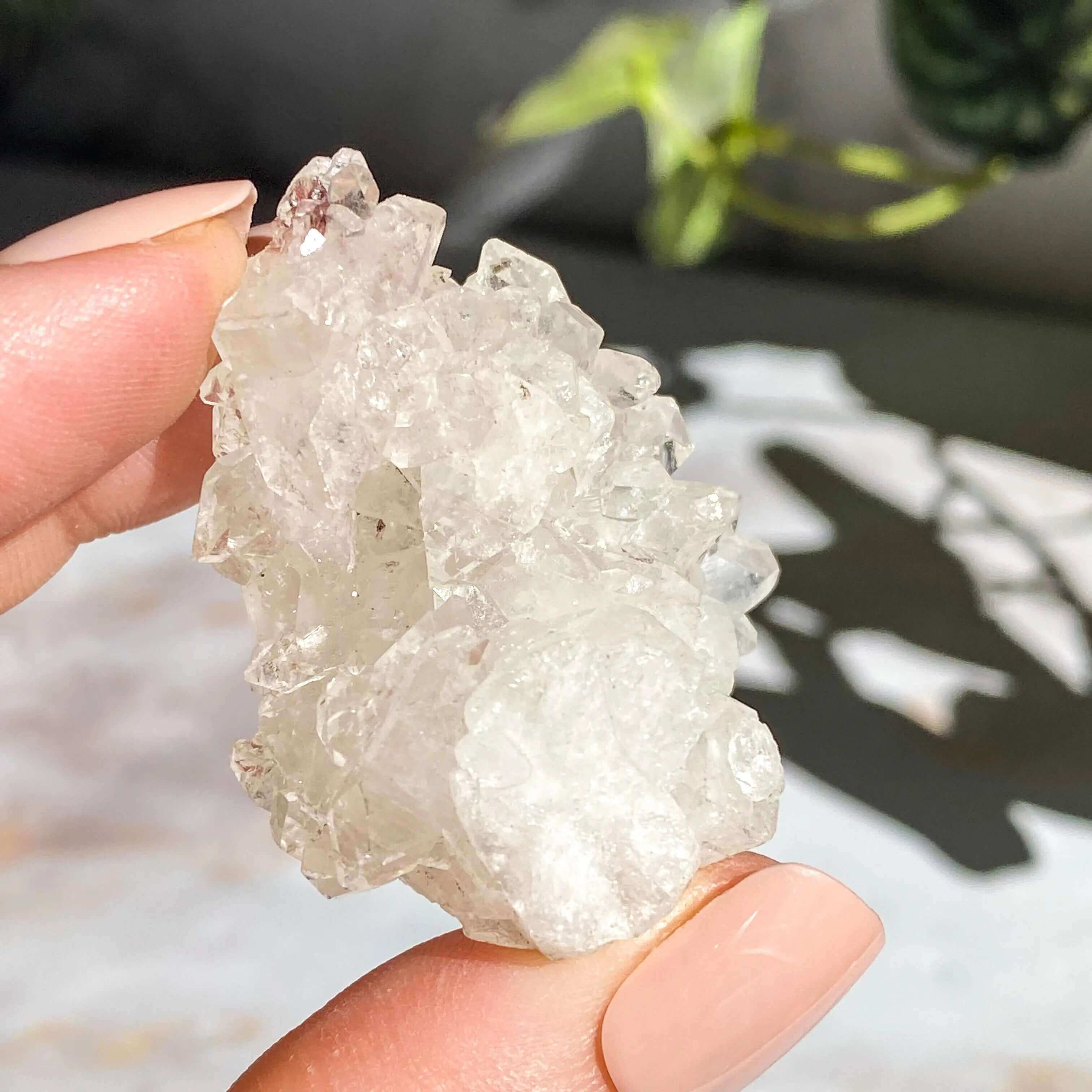Apophyllite | Stock C Mooncat Crystals