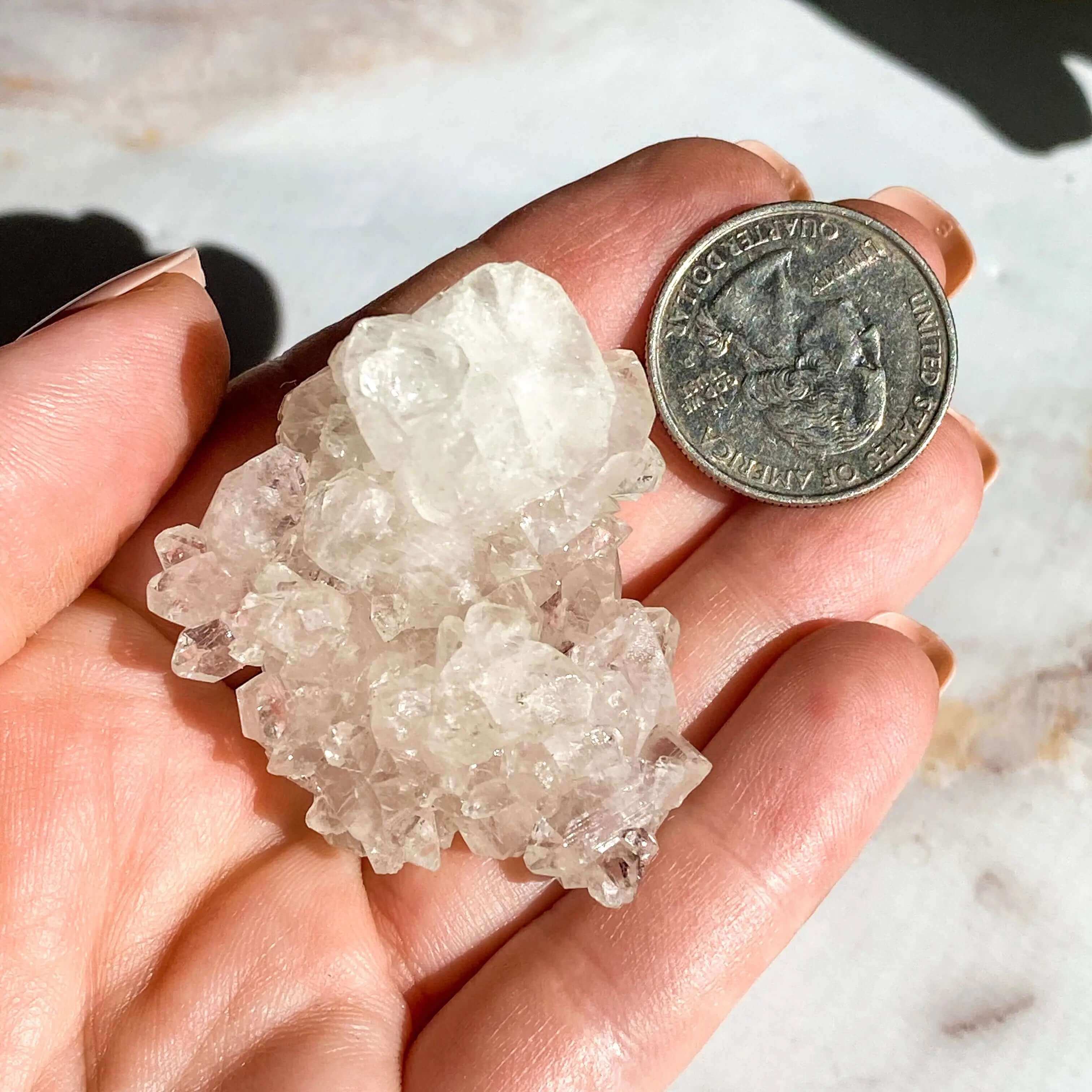 Apophyllite | Stock C Mooncat Crystals
