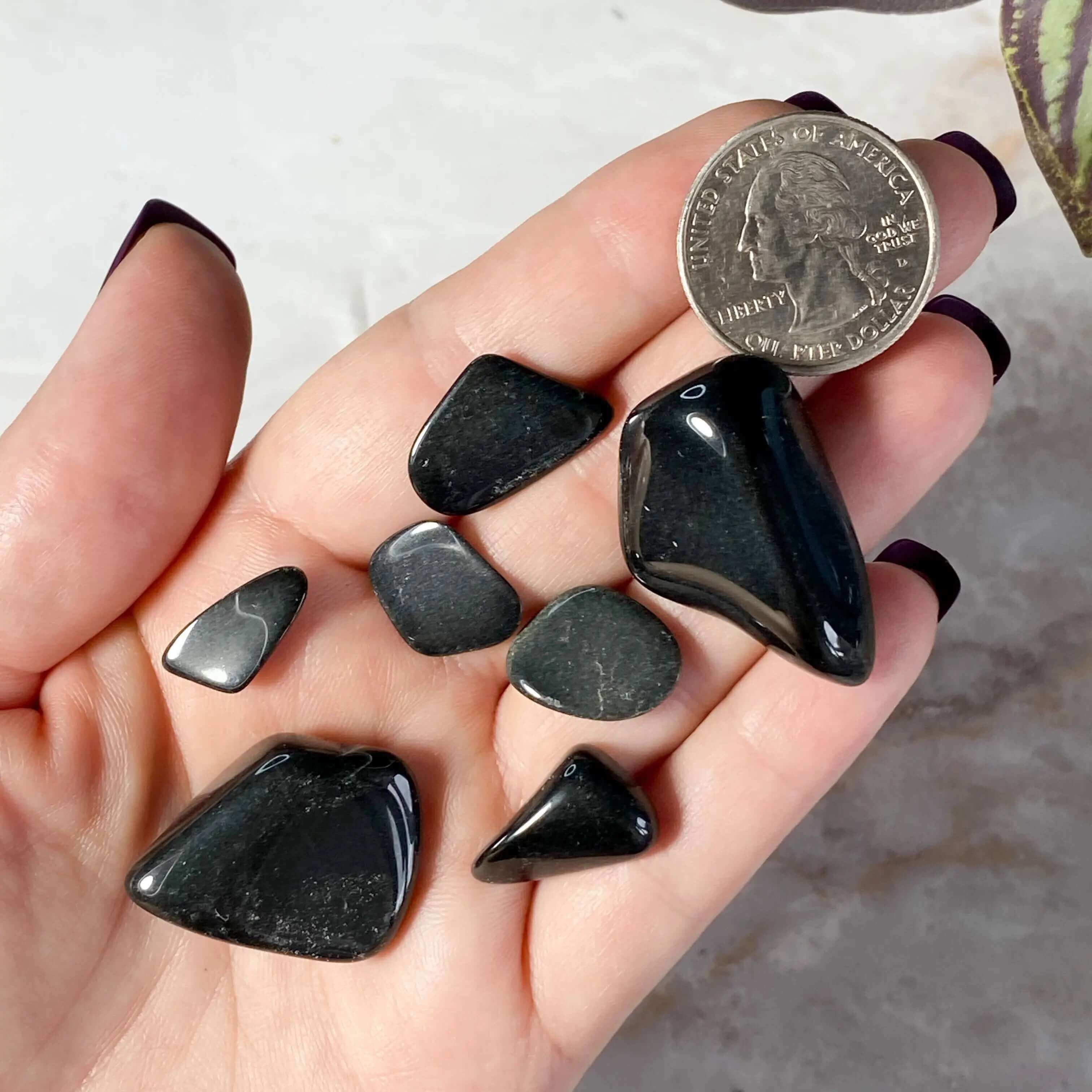 Australian Black Jade Tumbles | 25 Gram Lot Mooncat Crystals