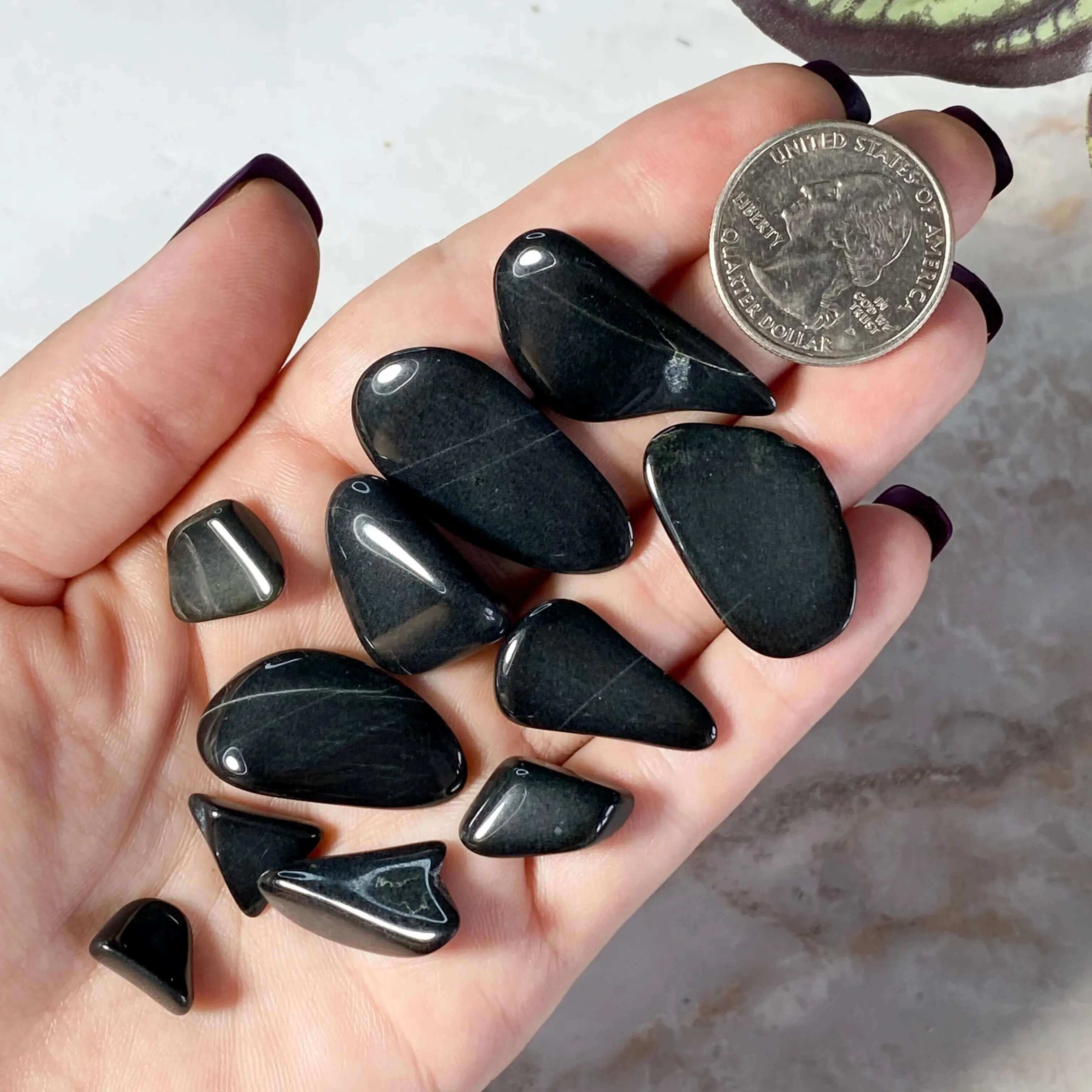 Australian Black Jade Tumbles | 25 Gram Lot Mooncat Crystals
