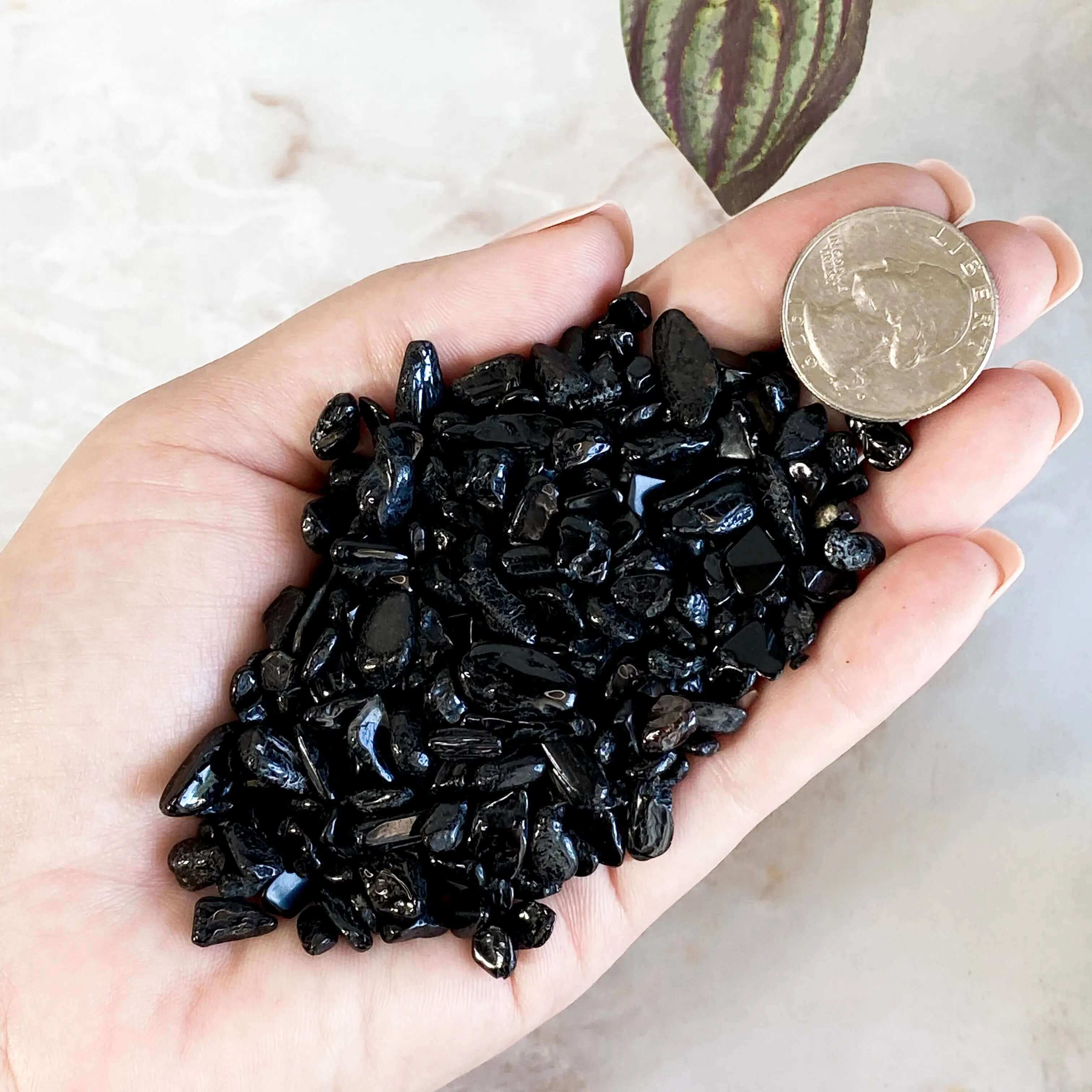Black Tourmaline Chips - Extra Mini | 100 gram Lot Mooncat Crystals