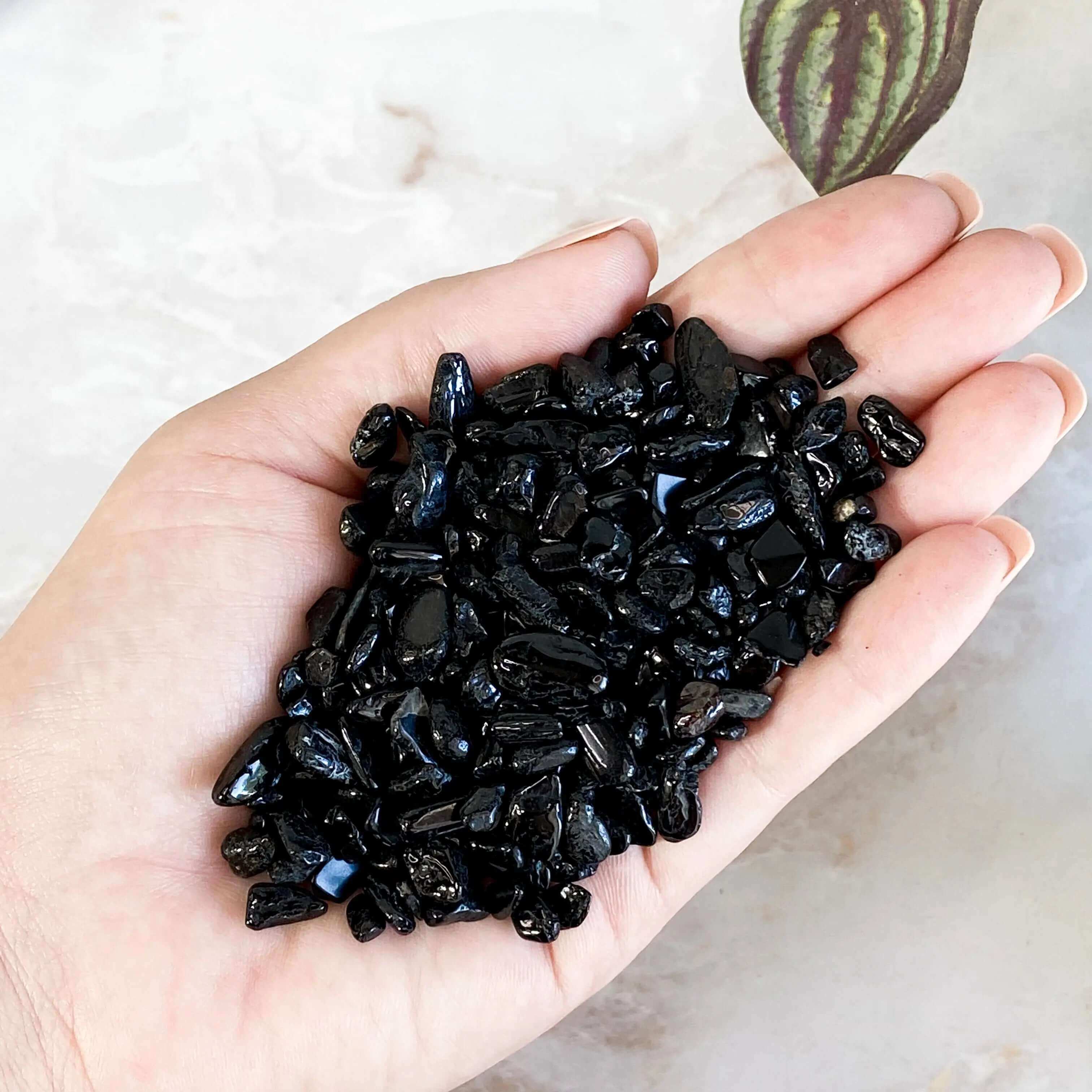 Black Tourmaline Chips - Extra Mini | 100 gram Lot Mooncat Crystals