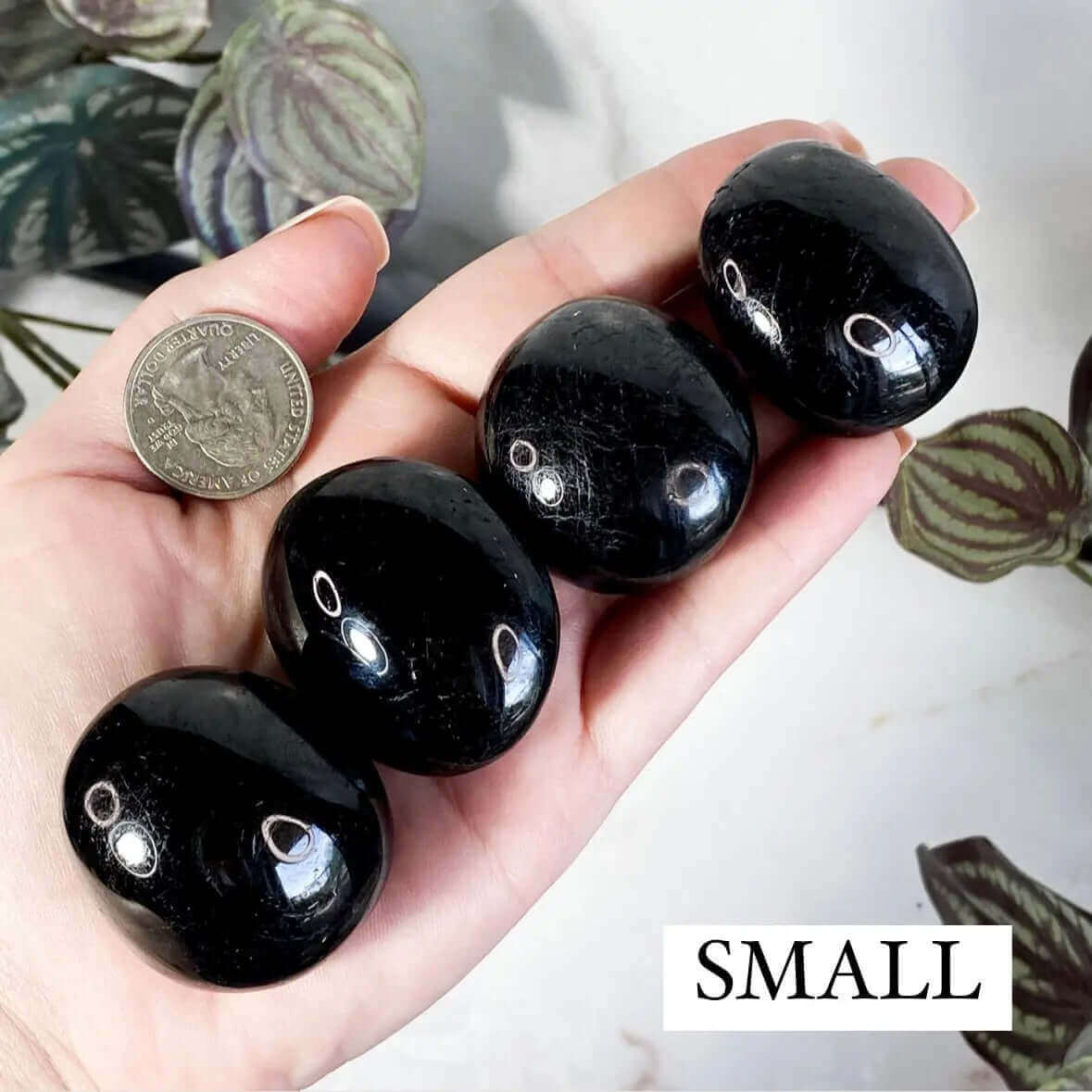 Black Tourmaline Palm Stone Mooncat Crystals