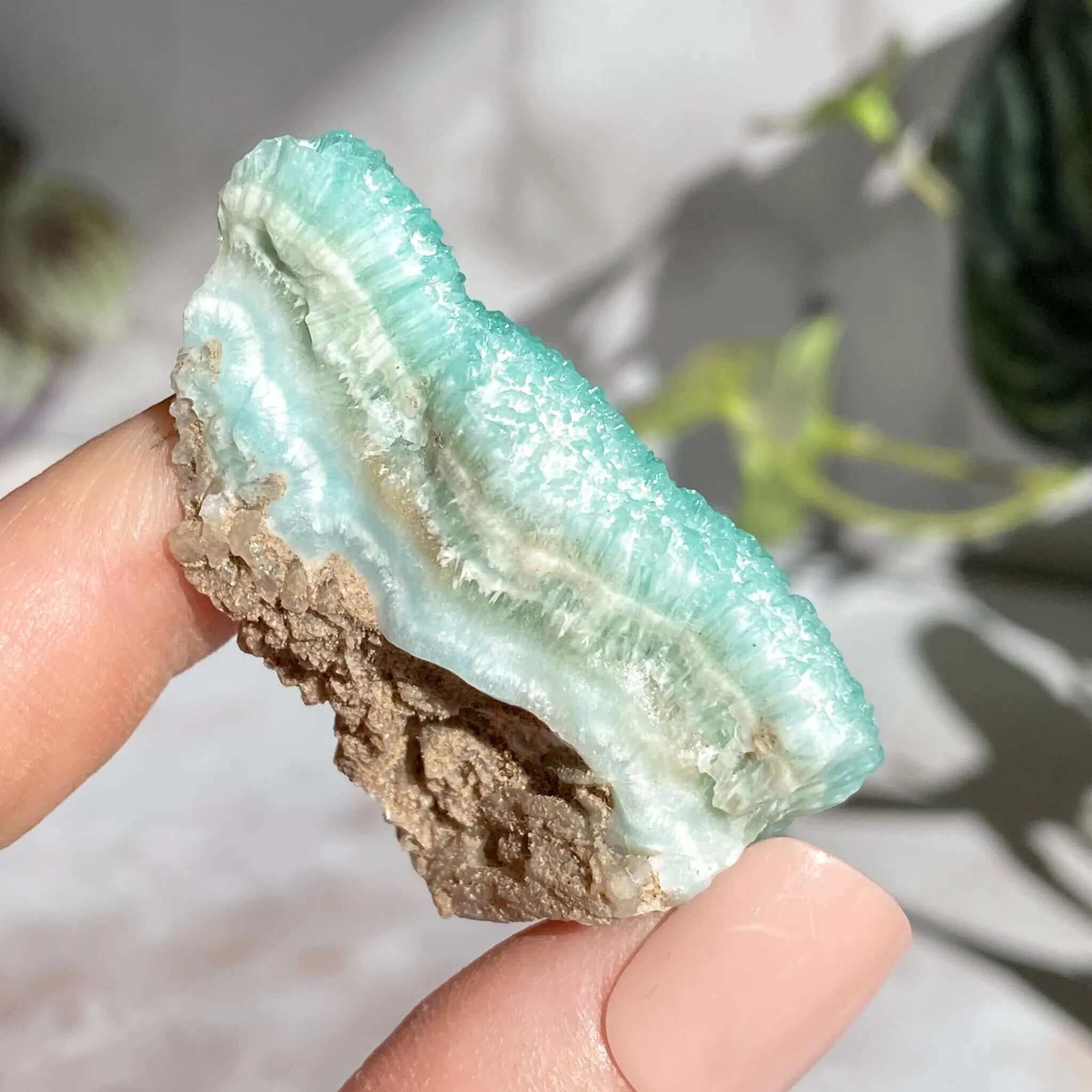 Blue Aragonite | Stock X Mooncat Crystals