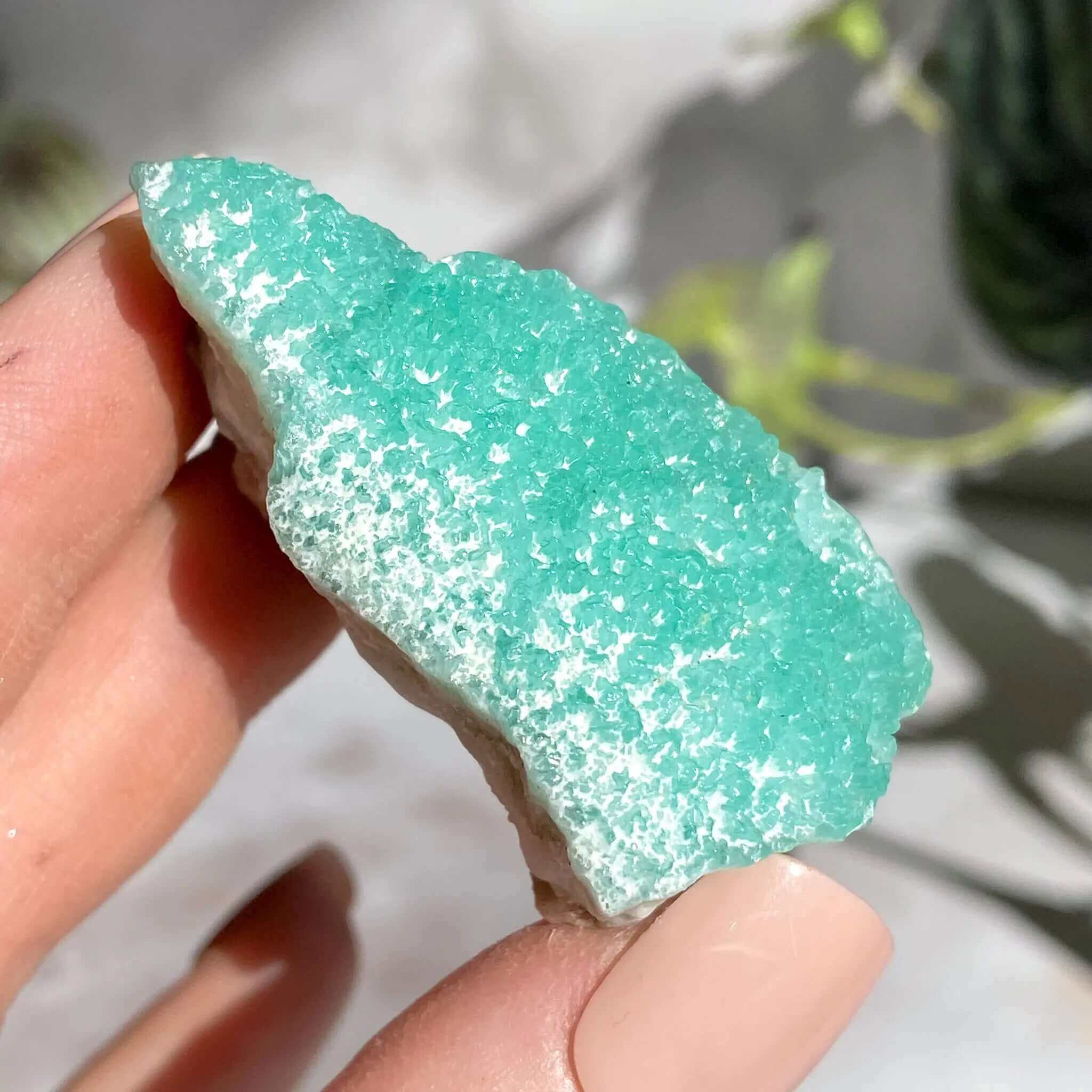 Blue Aragonite | Stock X Mooncat Crystals