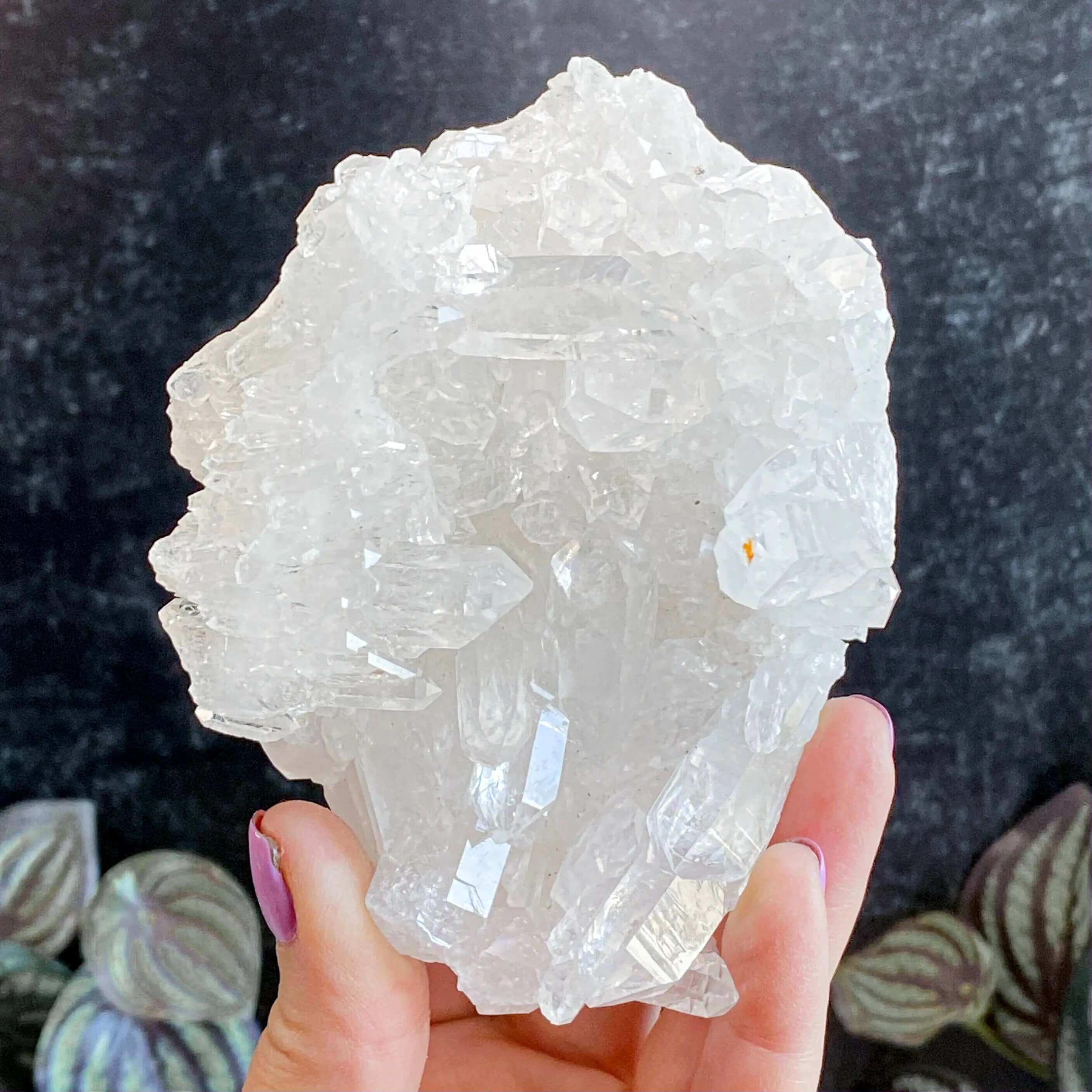 Brazilian Quartz Cluster | Stock G Mooncat Crystals