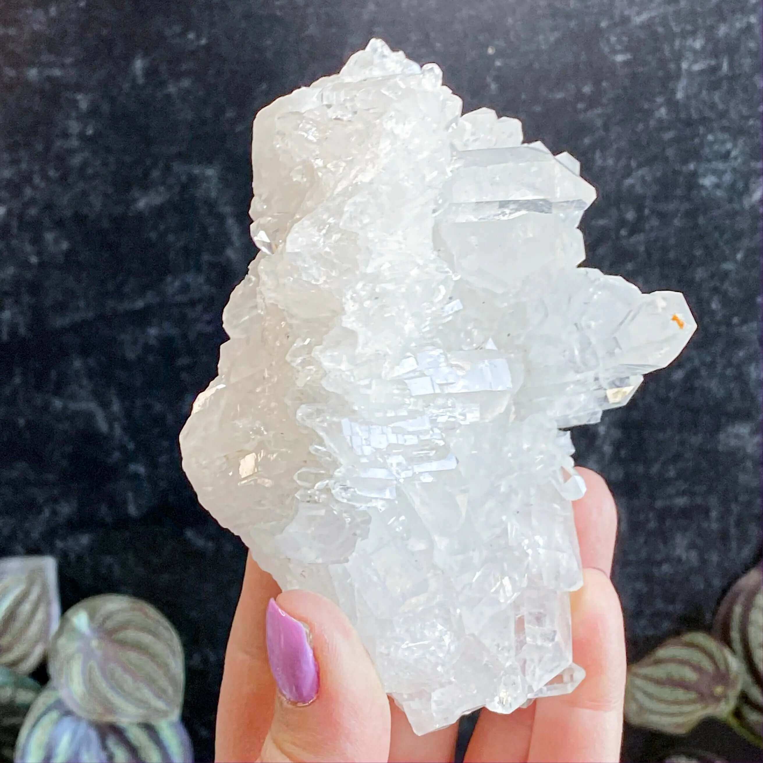 Brazilian Quartz Cluster | Stock G Mooncat Crystals