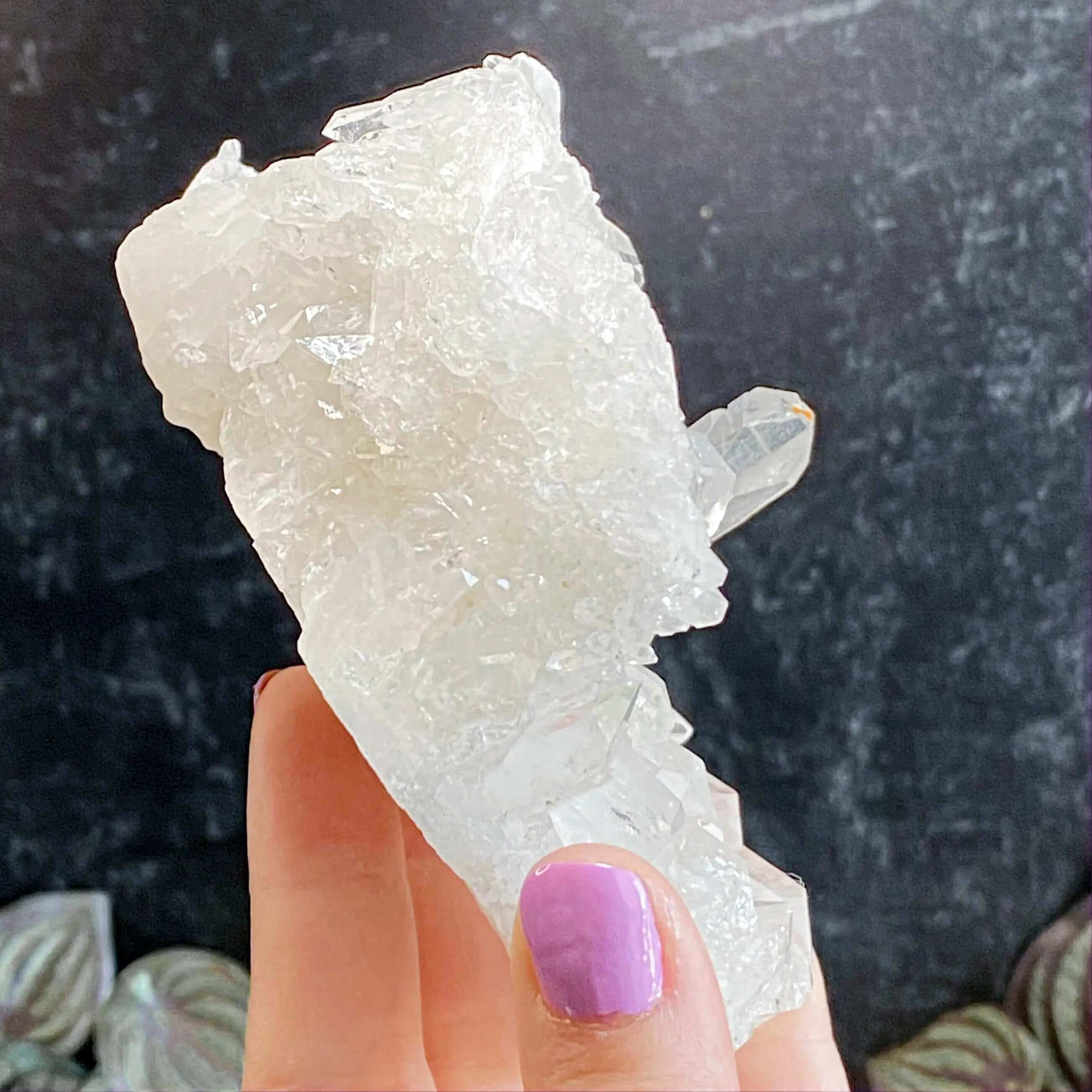 Brazilian Quartz Cluster | Stock G Mooncat Crystals