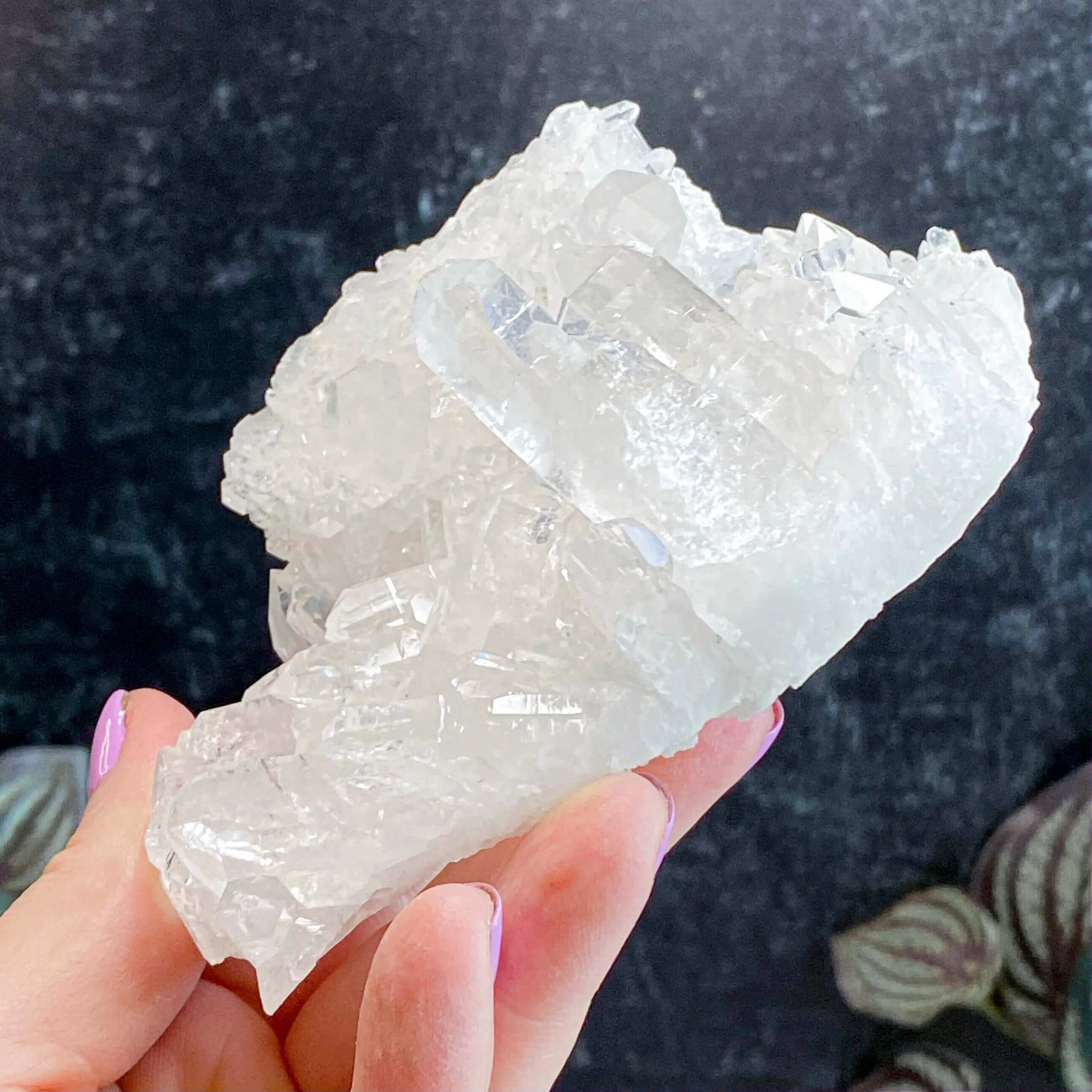 Brazilian Quartz Cluster | Stock G Mooncat Crystals