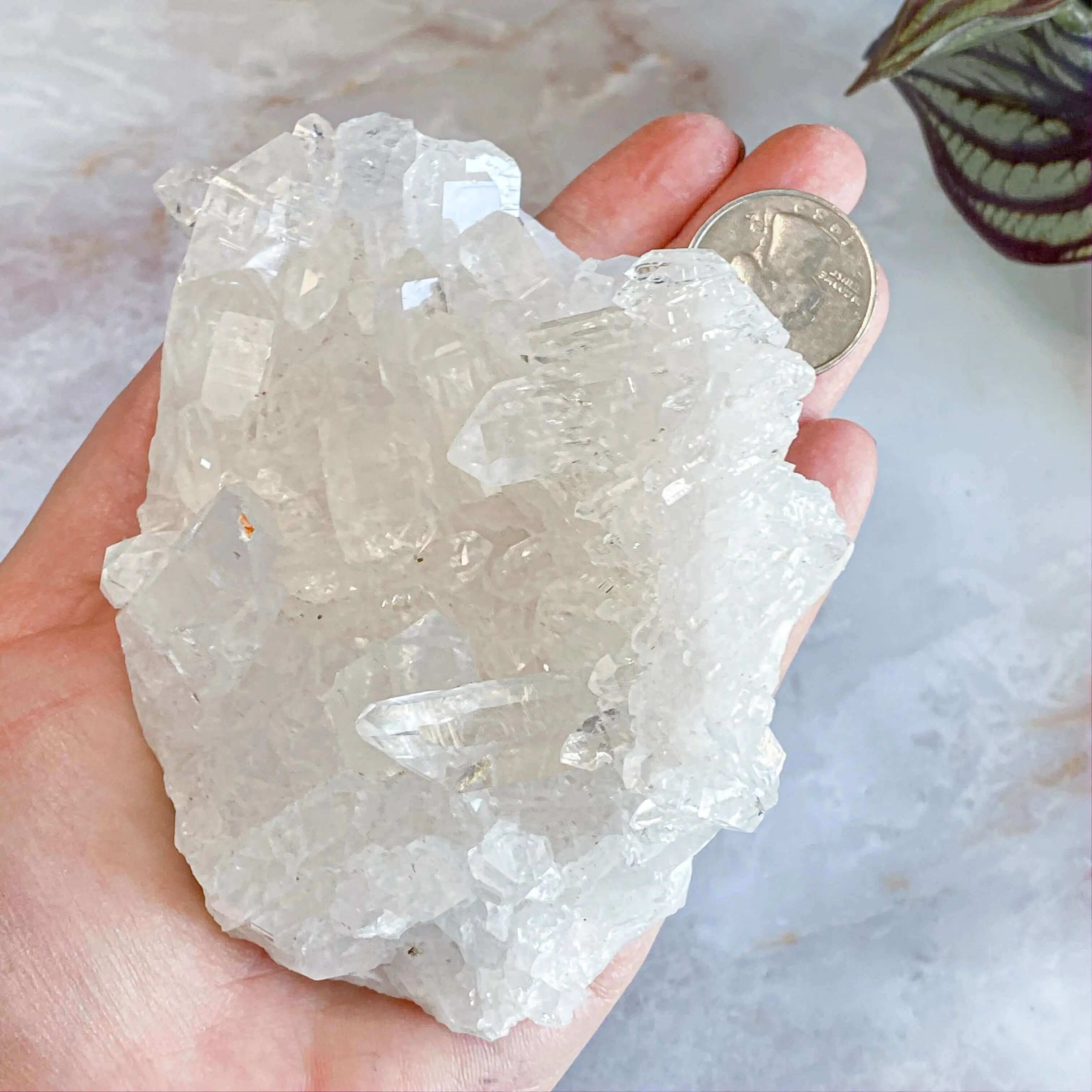 Brazilian Quartz Cluster | Stock G Mooncat Crystals