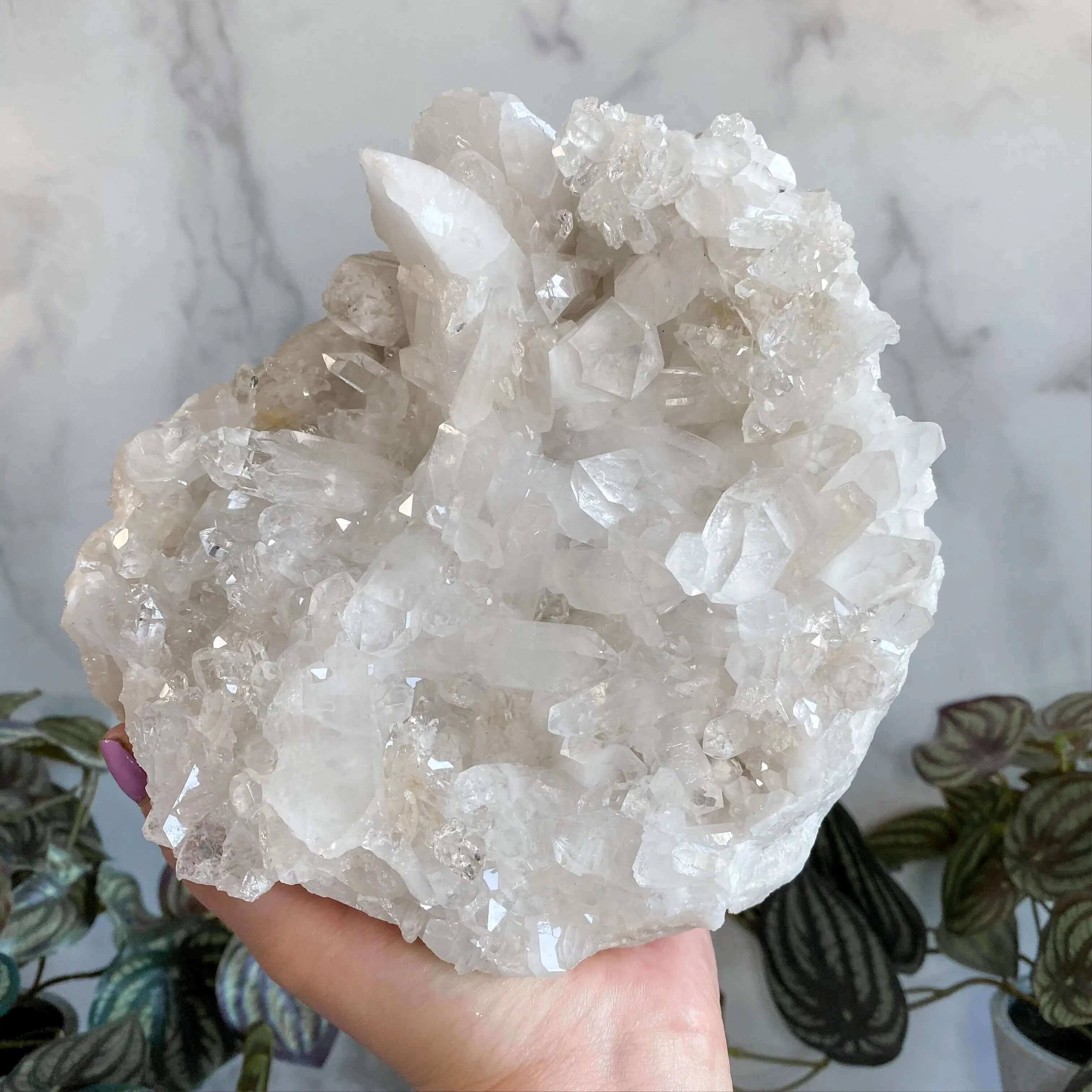 Brazilian Quartz Cluster Display Mooncat Crystals