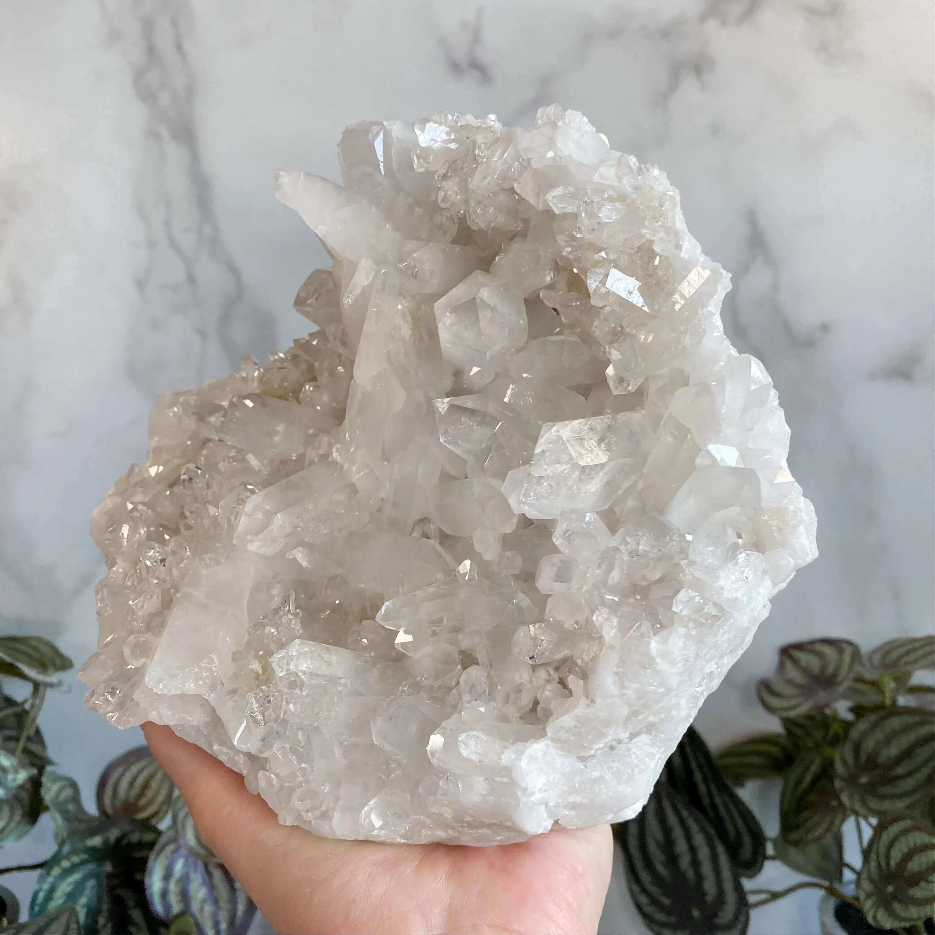 Brazilian Quartz Cluster Display Mooncat Crystals