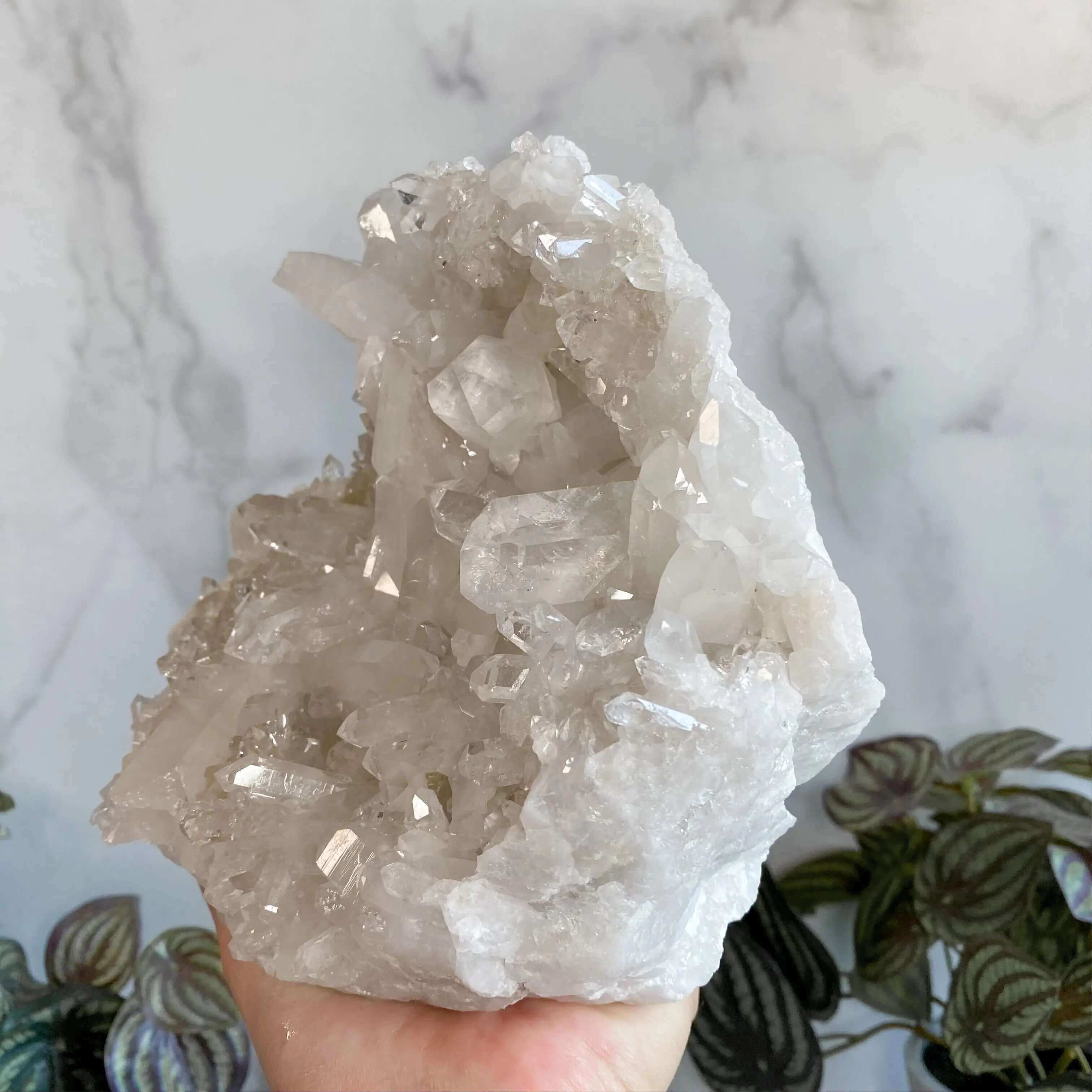Brazilian Quartz Cluster Display Mooncat Crystals