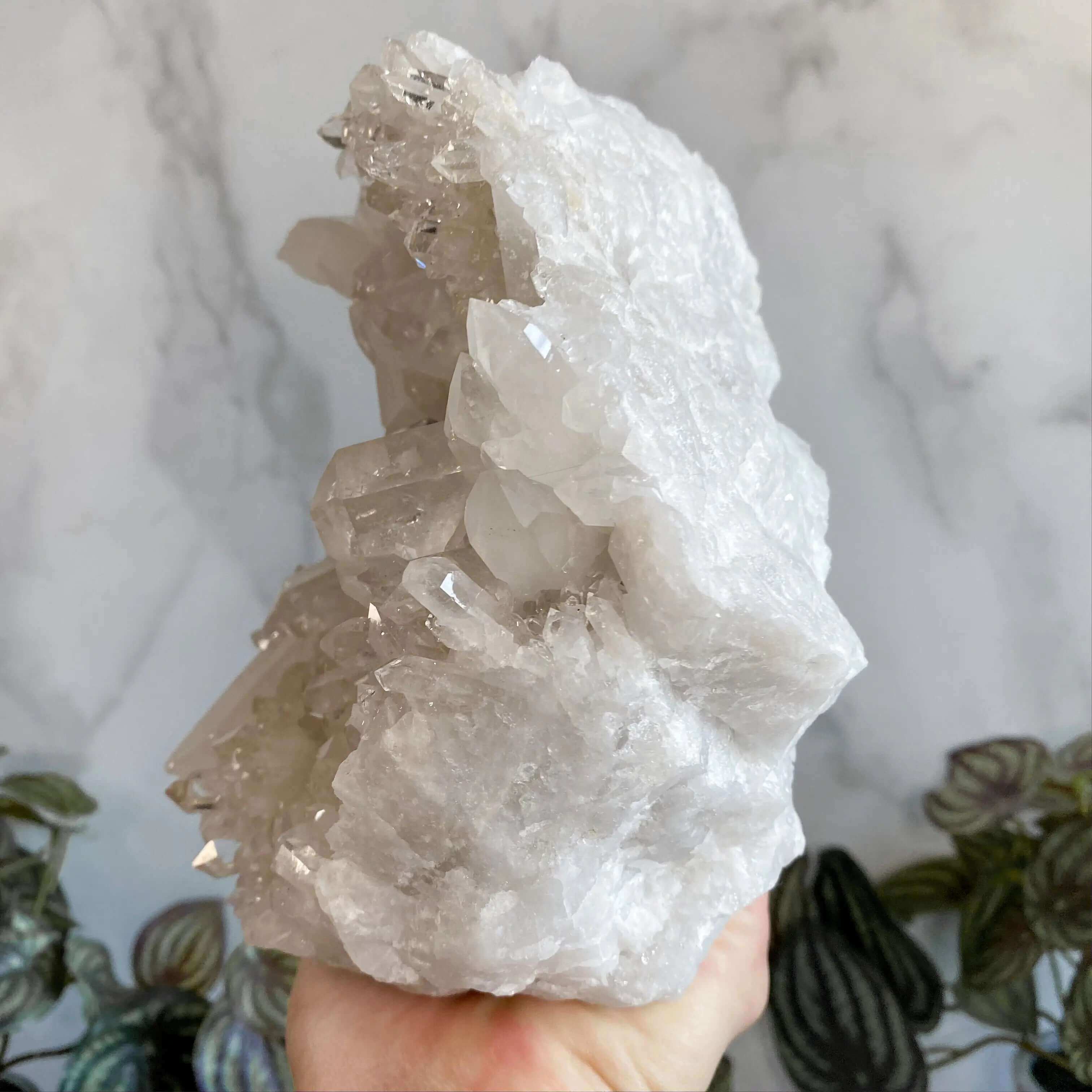 Brazilian Quartz Cluster Display Mooncat Crystals