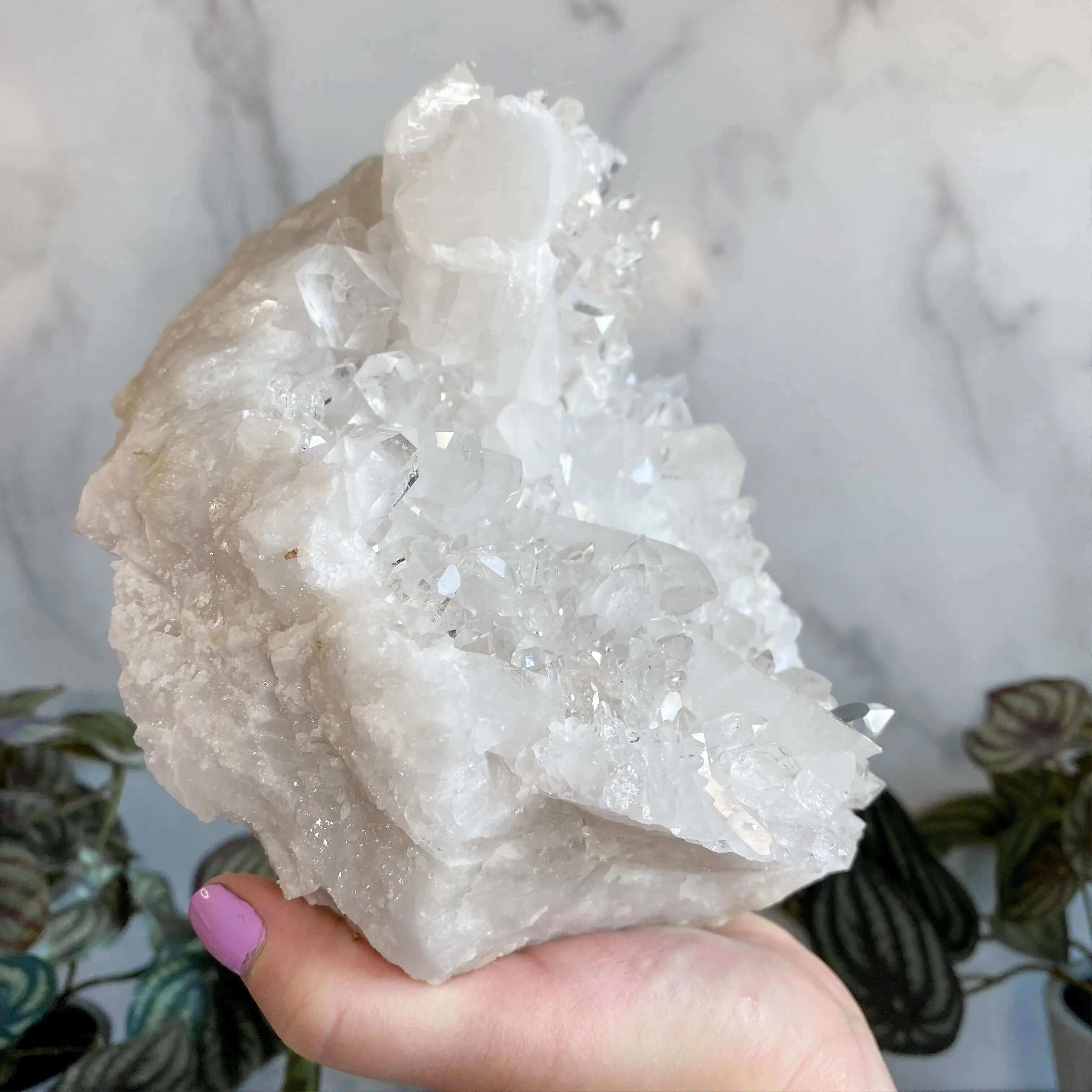 Brazilian Quartz Cluster Display Mooncat Crystals