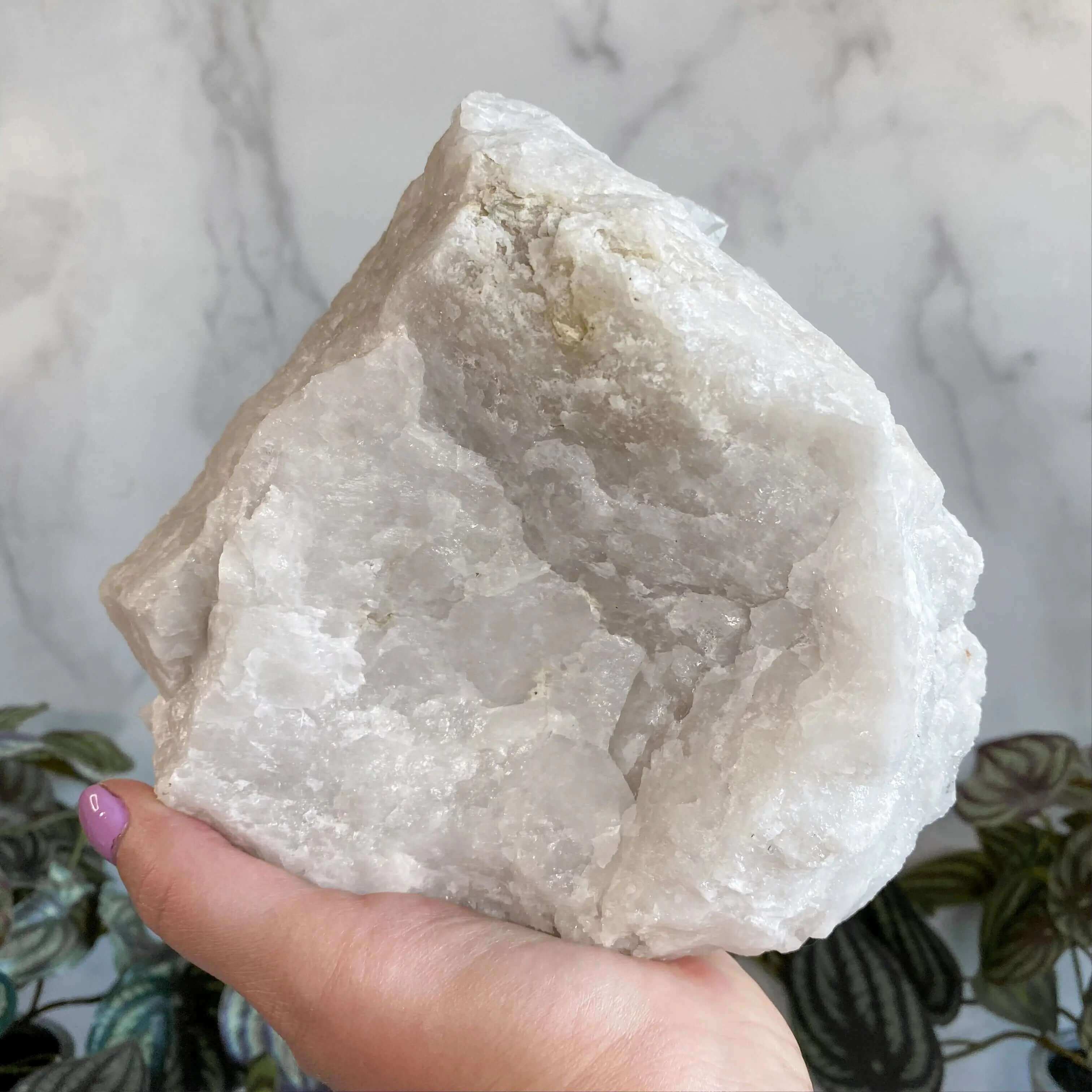 Brazilian Quartz Cluster Display Mooncat Crystals