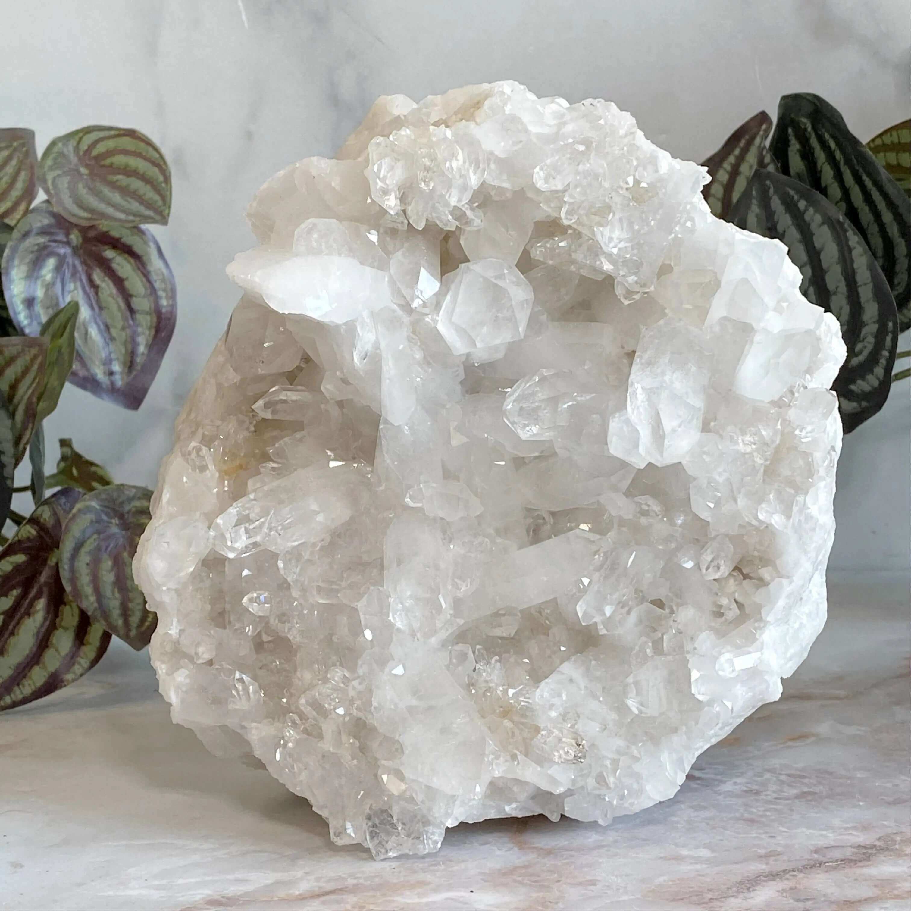 Brazilian Quartz Cluster Display Mooncat Crystals
