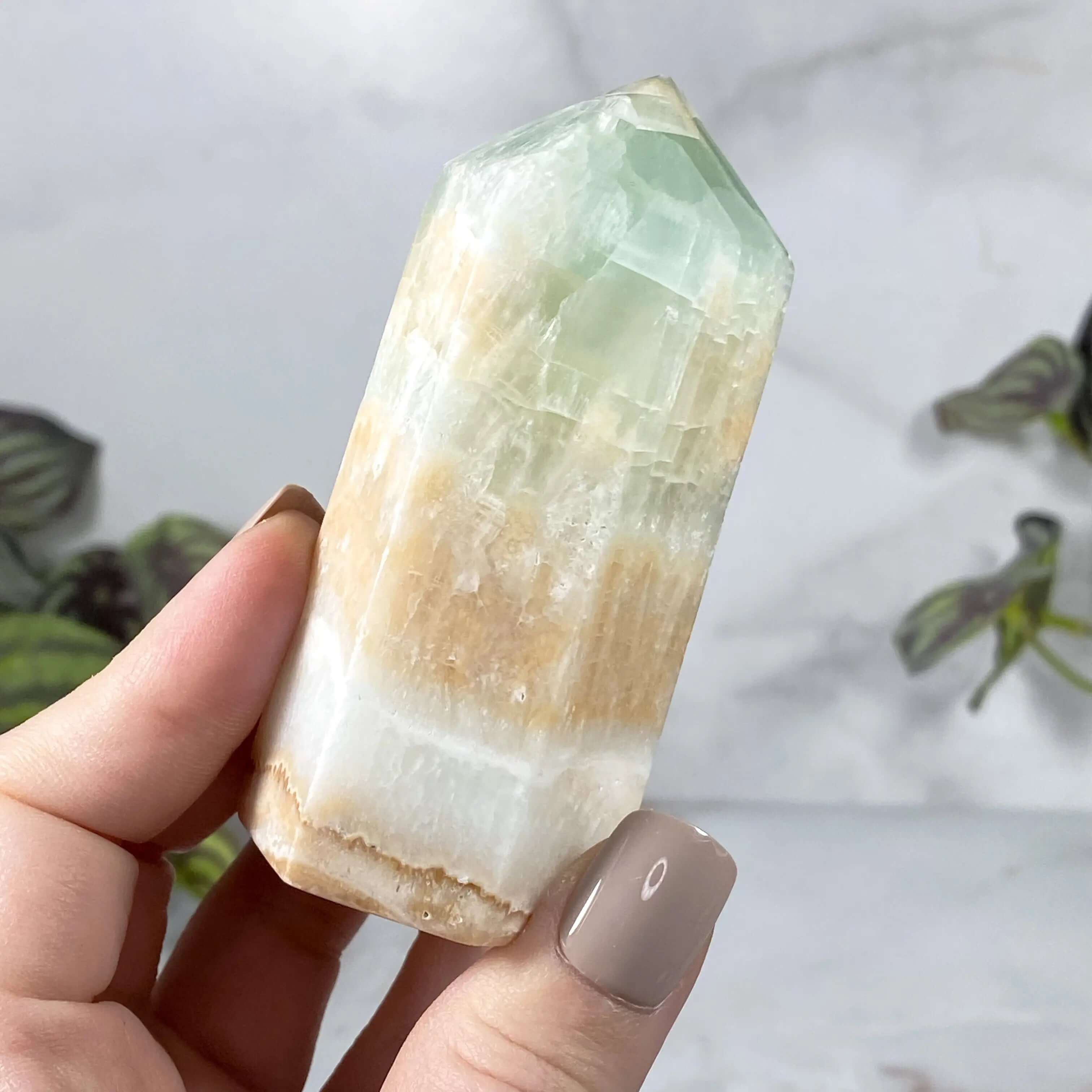 Caribbean Calcite Tower | Stock A Mooncat Crystals
