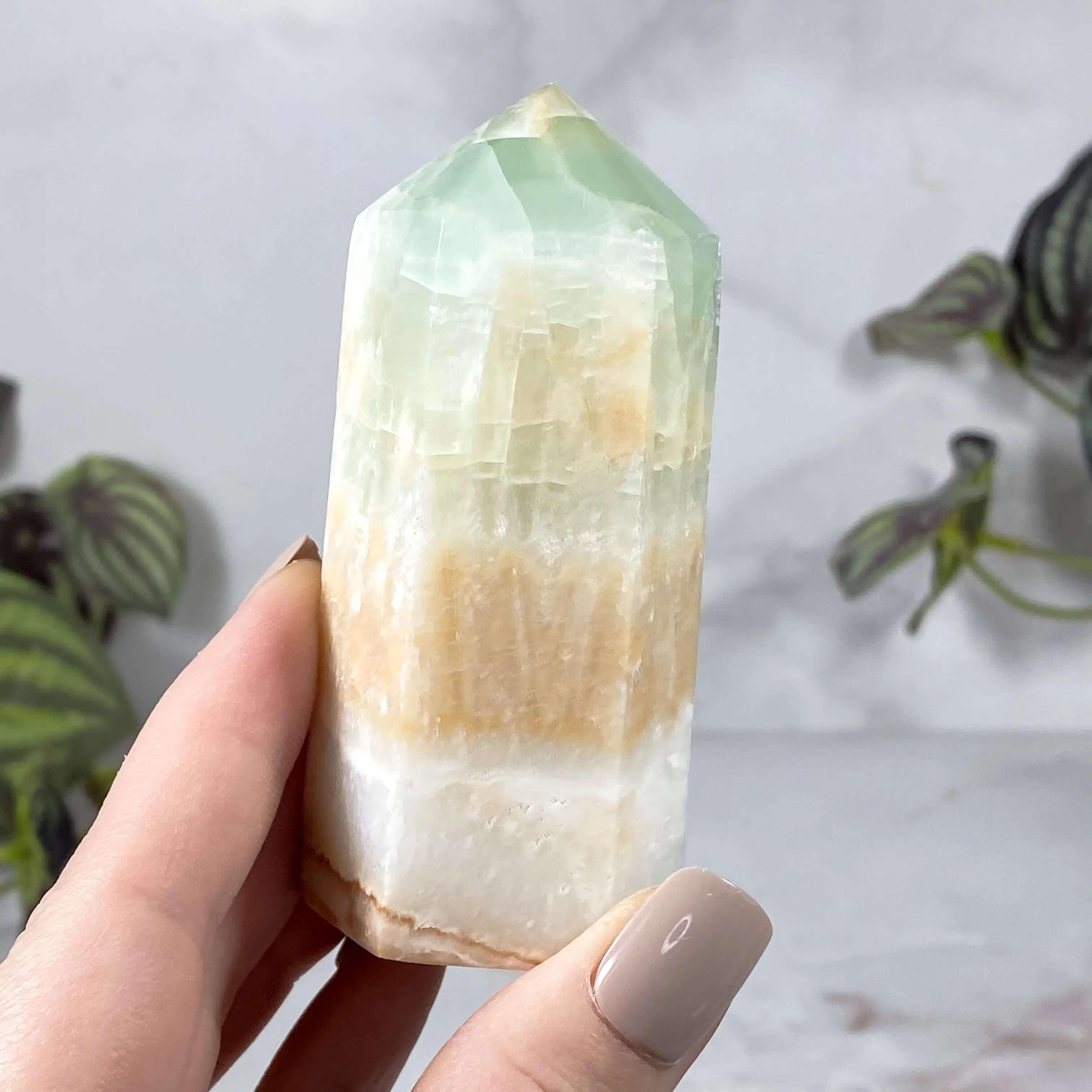 Caribbean Calcite Tower | Stock A Mooncat Crystals