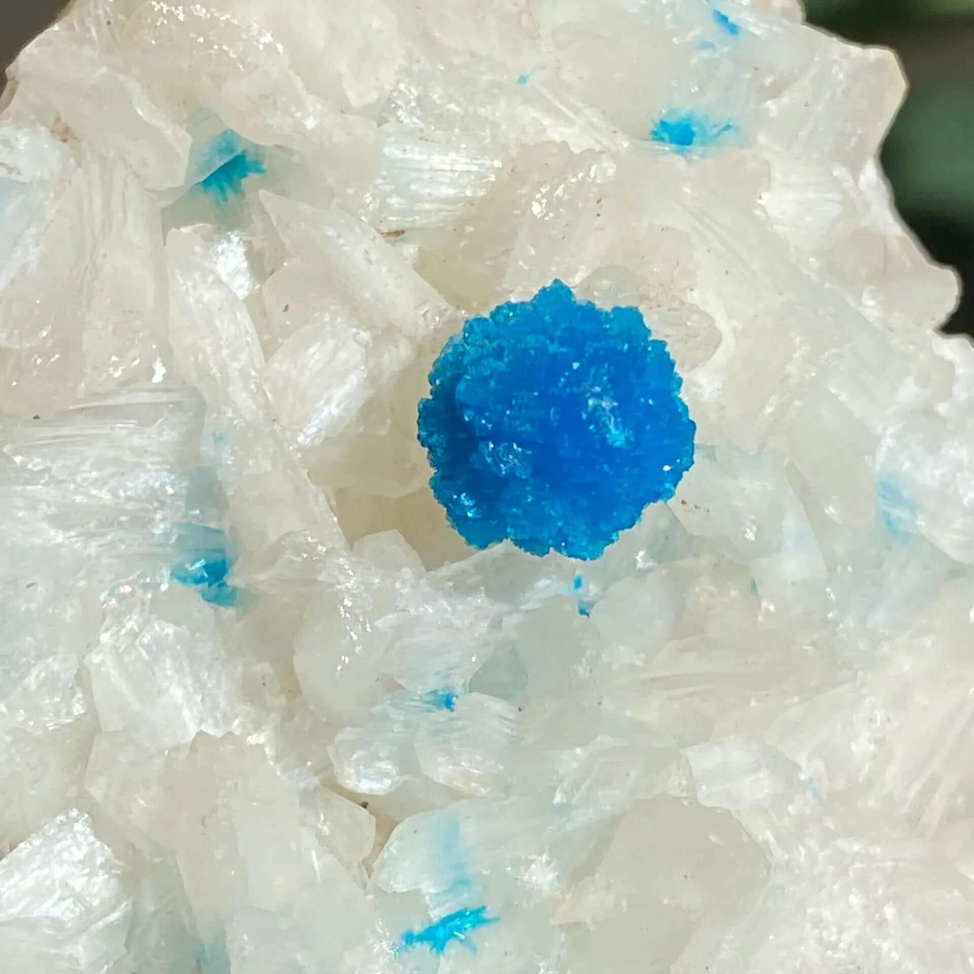 Cavansite and Stilbite Specimine Mooncat Crystals
