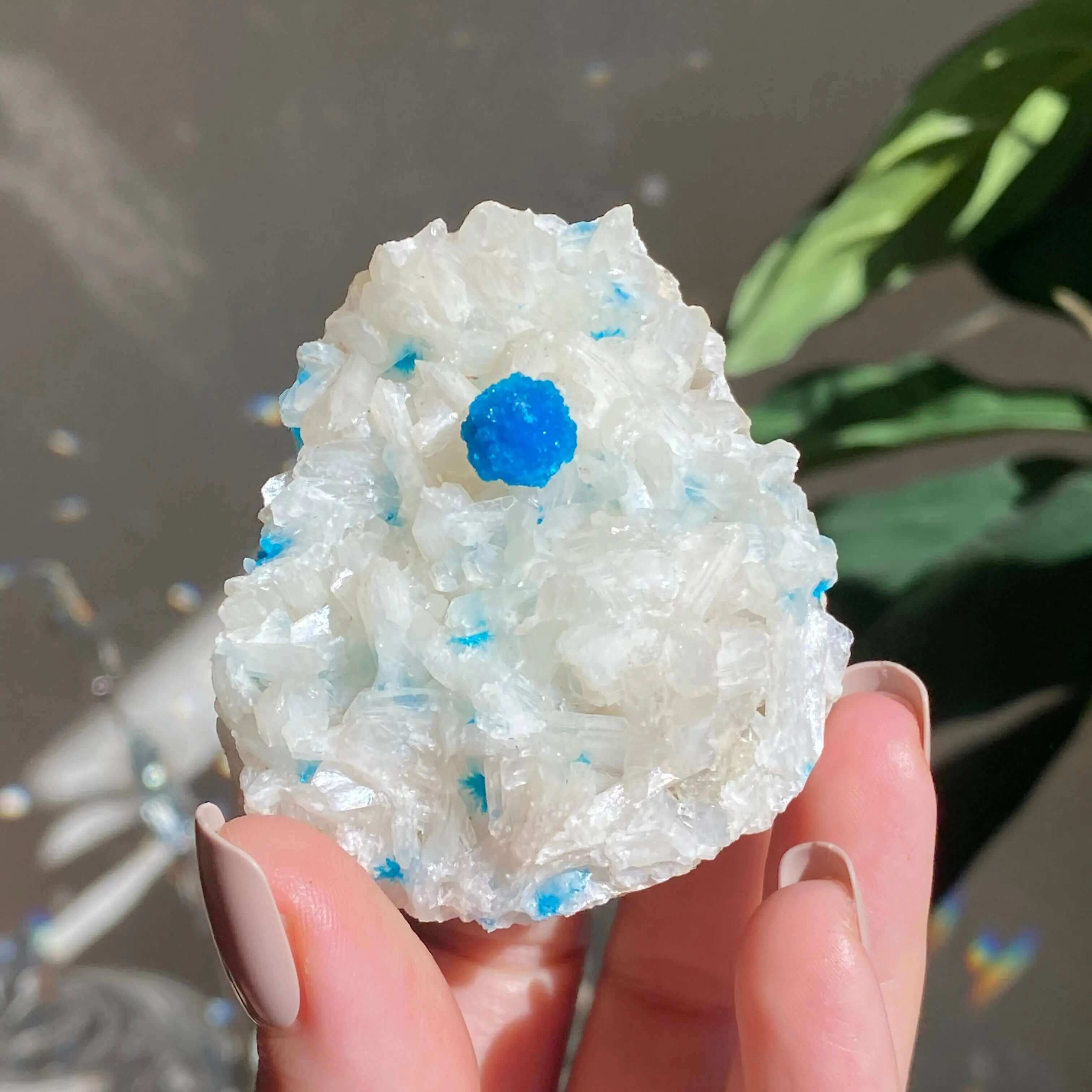 Cavansite and Stilbite Specimine Mooncat Crystals