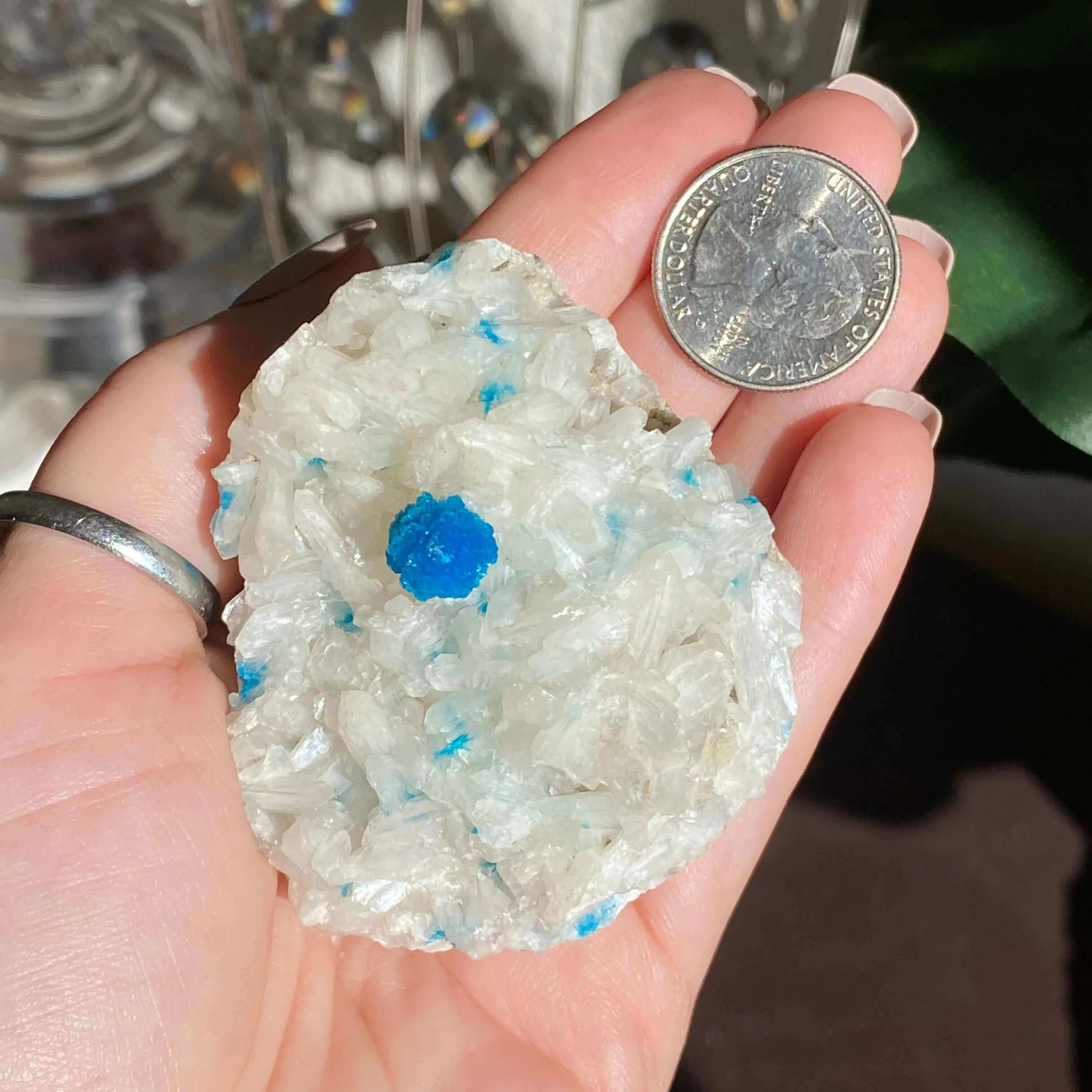 Cavansite and Stilbite Specimine Mooncat Crystals