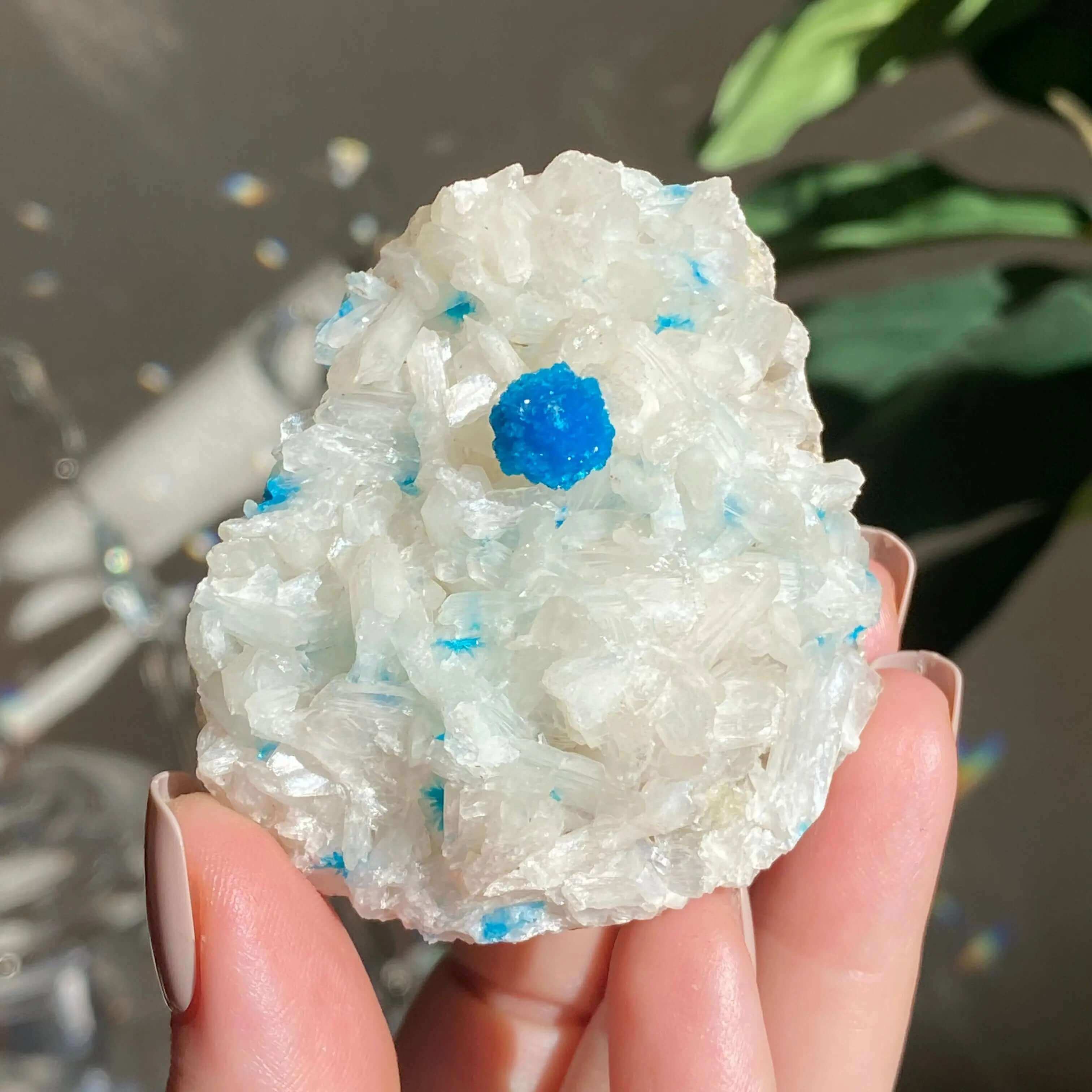 Cavansite and Stilbite Specimine Mooncat Crystals