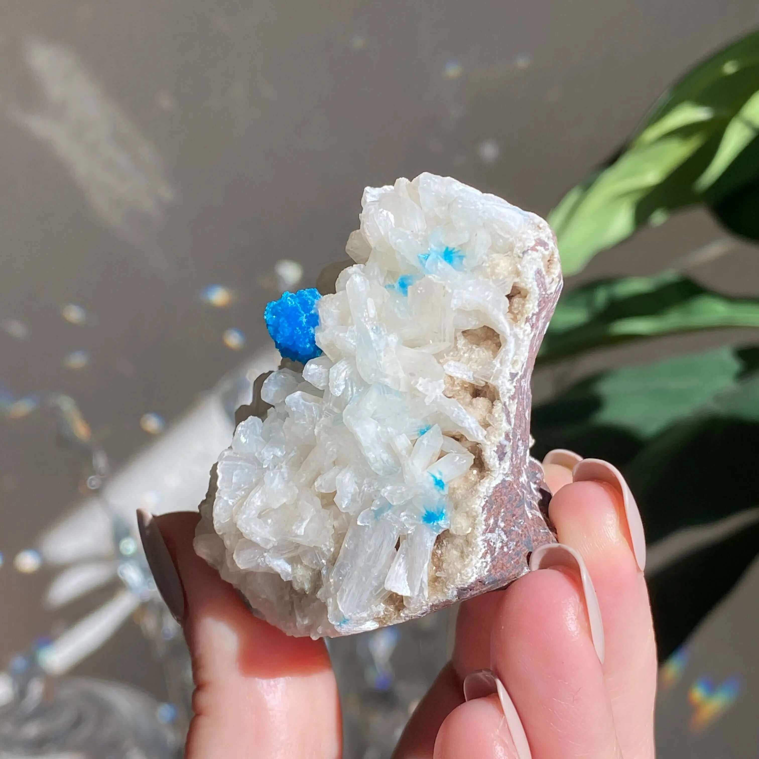 Cavansite and Stilbite Specimine Mooncat Crystals