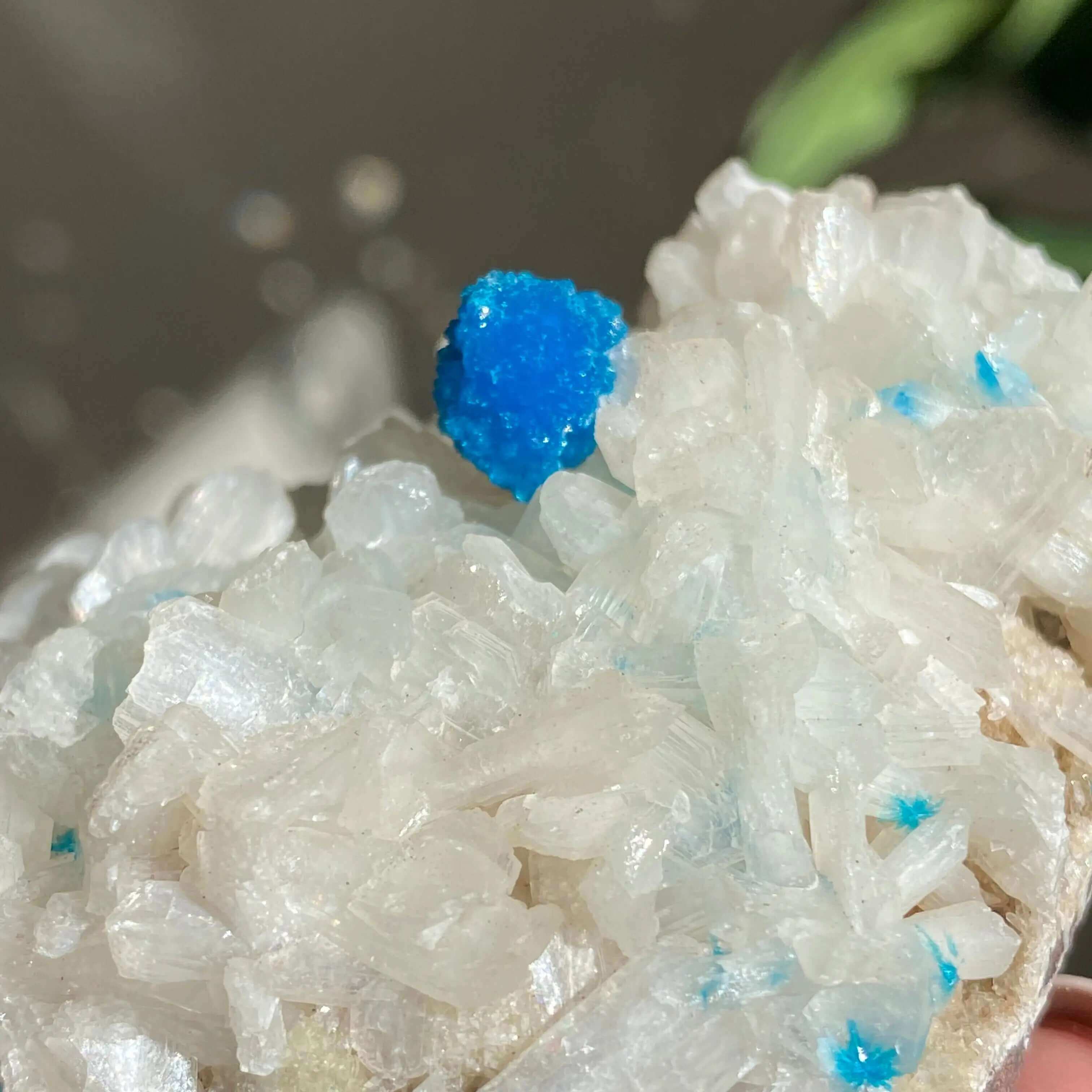Cavansite and Stilbite Specimine Mooncat Crystals