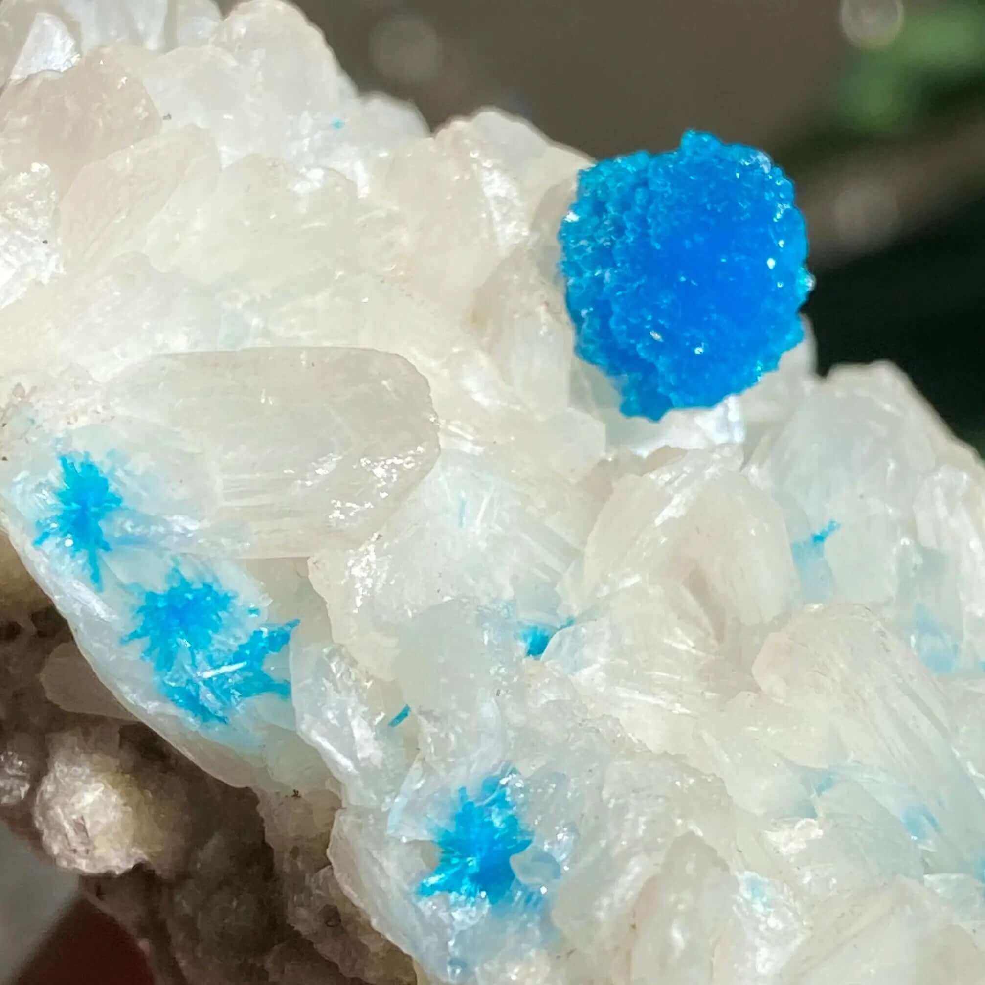 Cavansite and Stilbite Specimine Mooncat Crystals