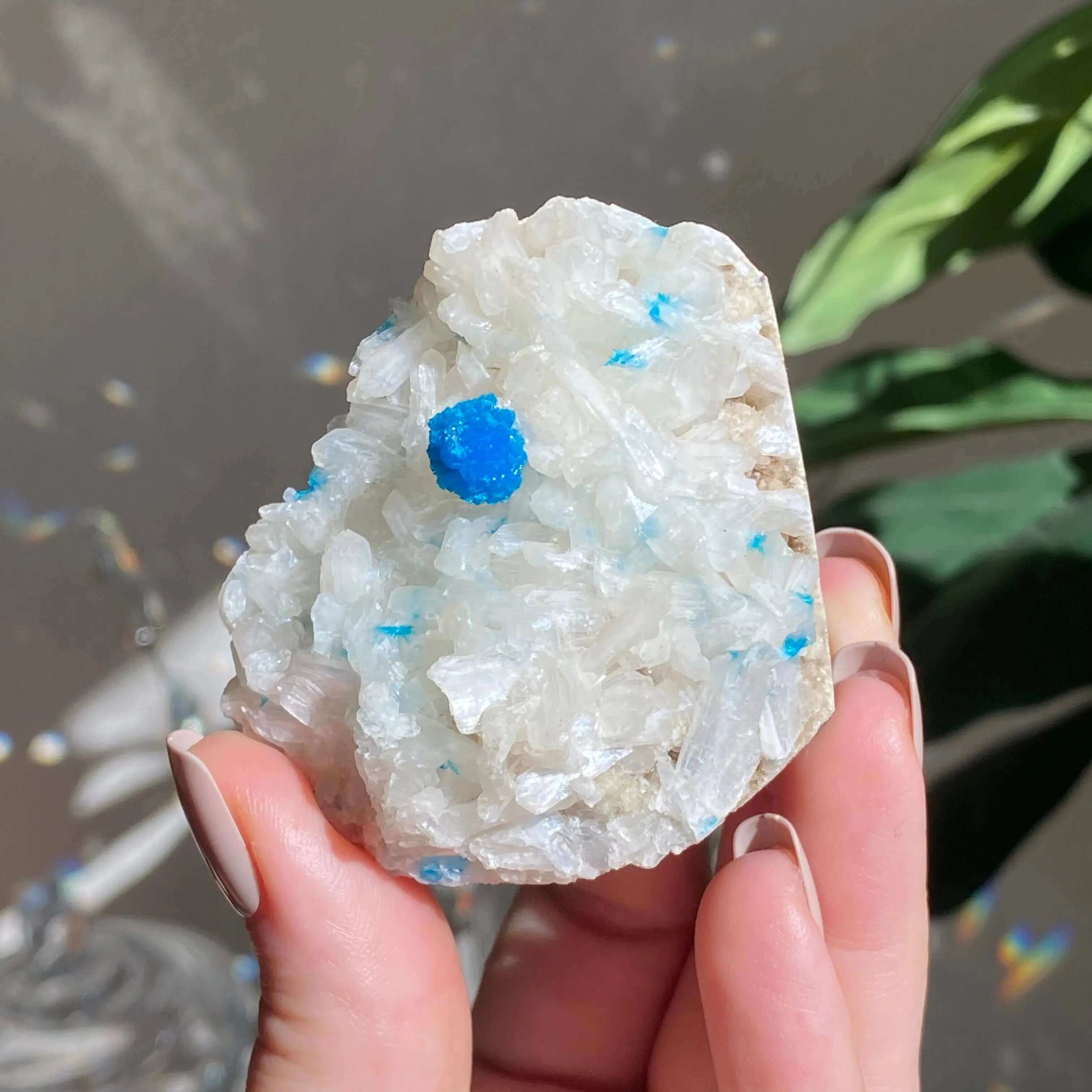 Cavansite and Stilbite Specimine Mooncat Crystals