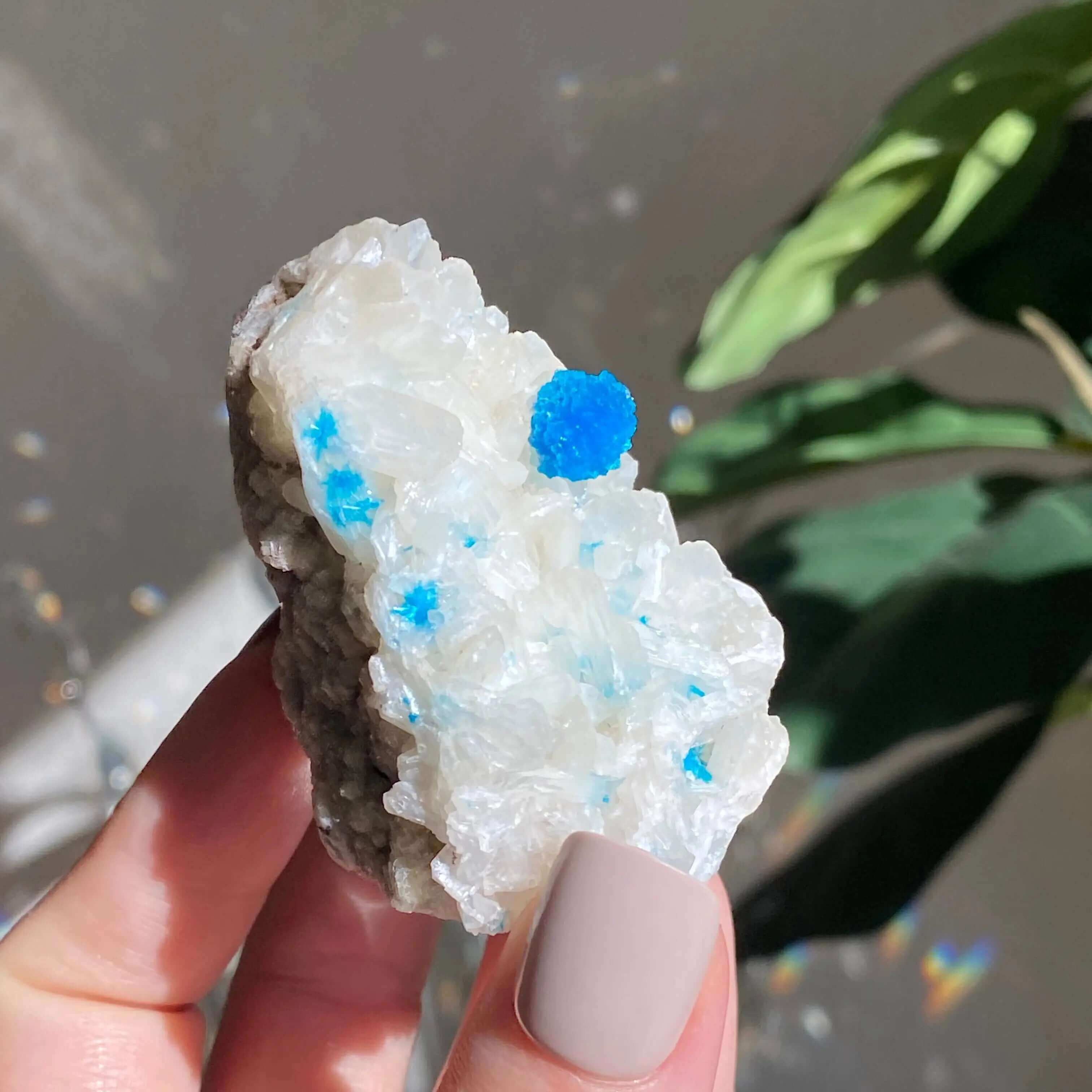 Cavansite and Stilbite Specimine Mooncat Crystals