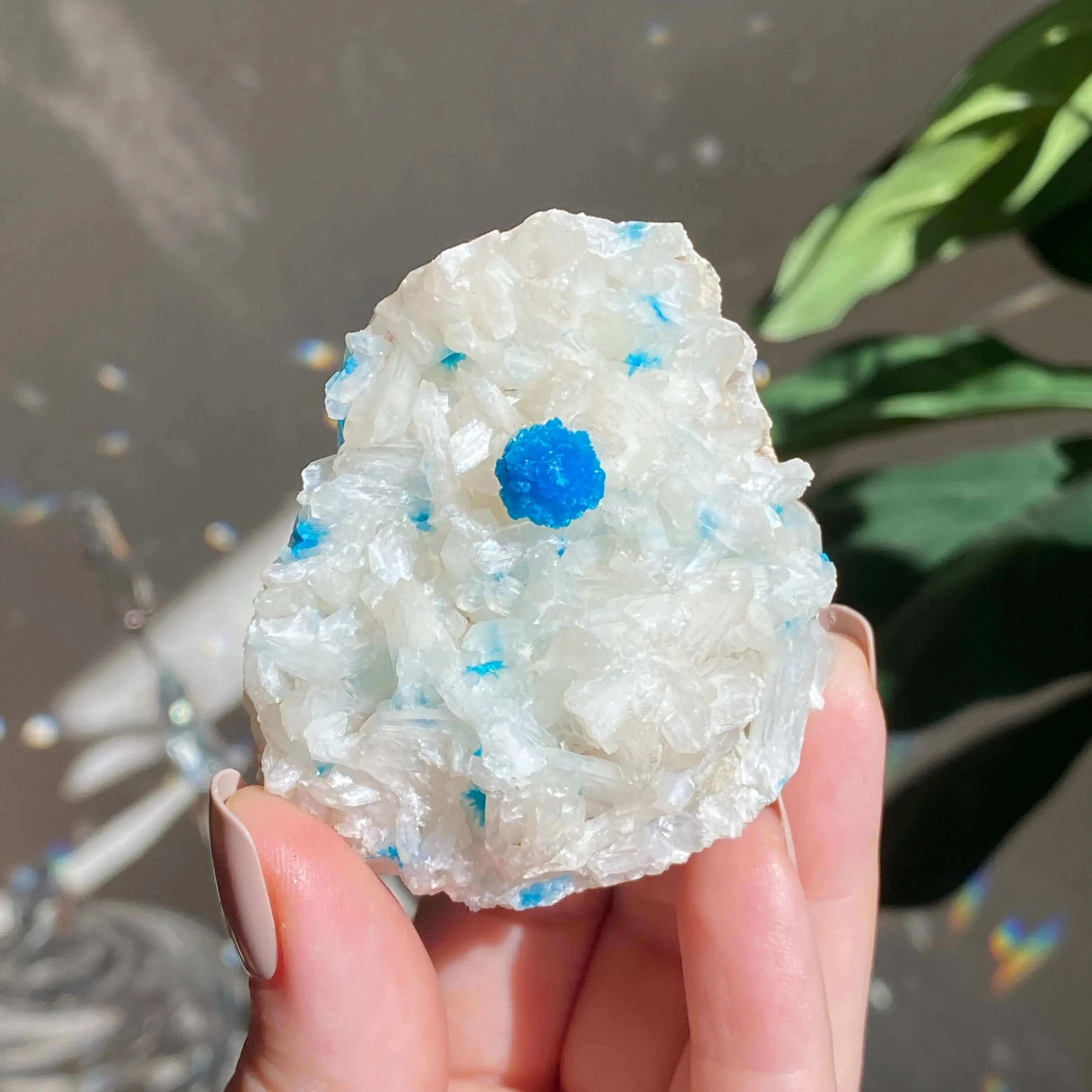 Cavansite and Stilbite Specimine Mooncat Crystals